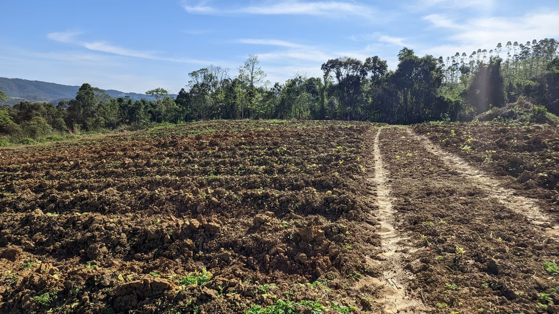 Terreno, 5 hectares - Foto 9