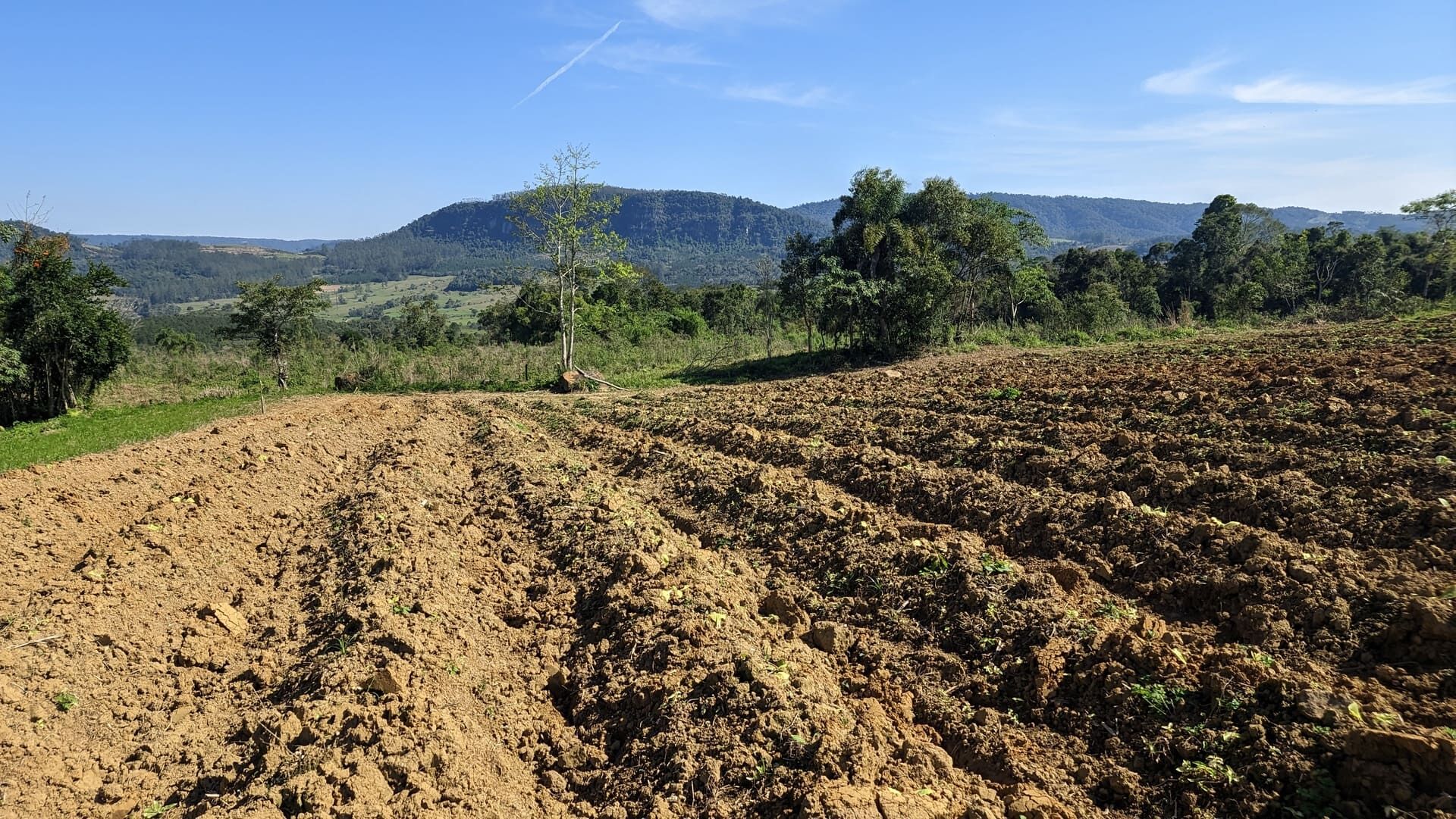 Terreno, 5 hectares - Foto 10