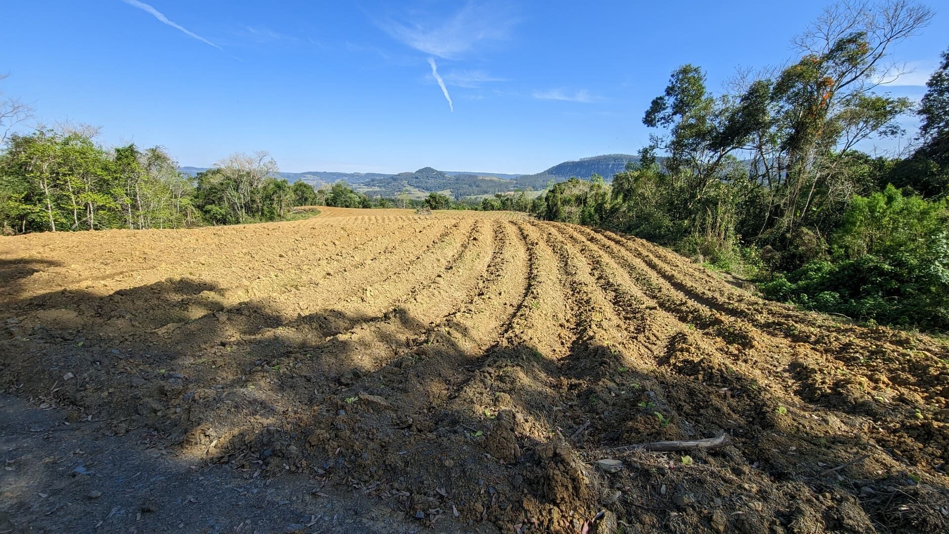 Terreno, 5 hectares - Foto 13