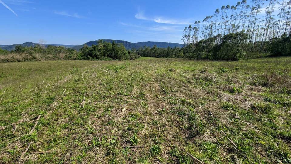Terreno, 5 hectares - Foto 6