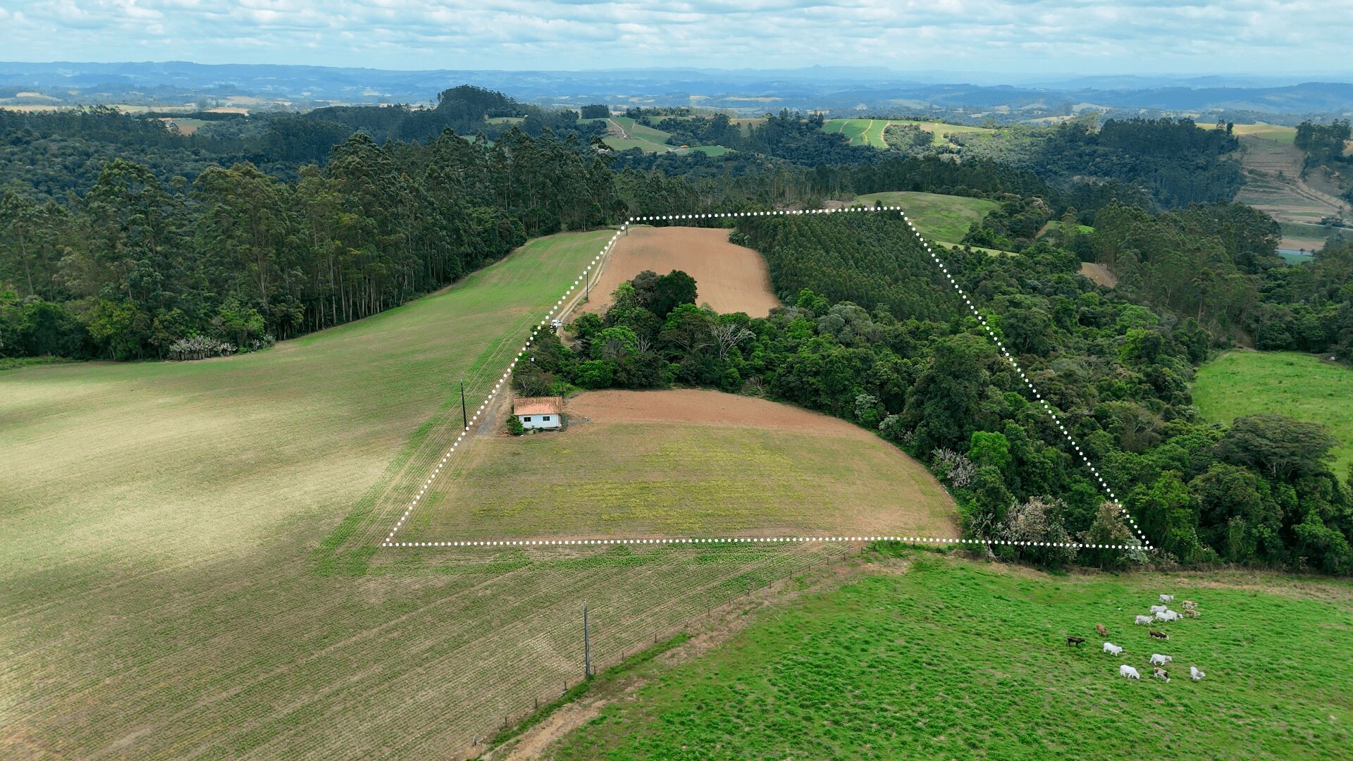 Sítio, 2 quartos, 6 hectares - Foto 1