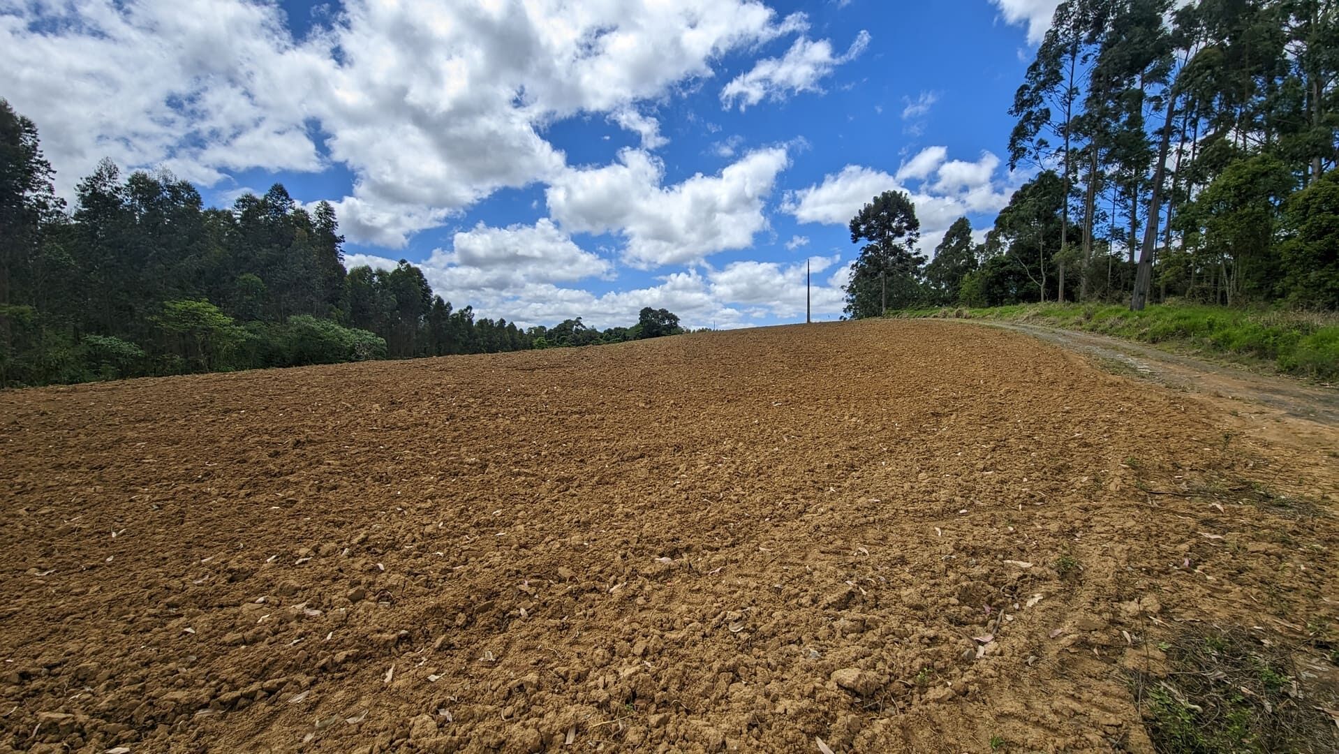 Sítio, 2 quartos, 6 hectares - Foto 10