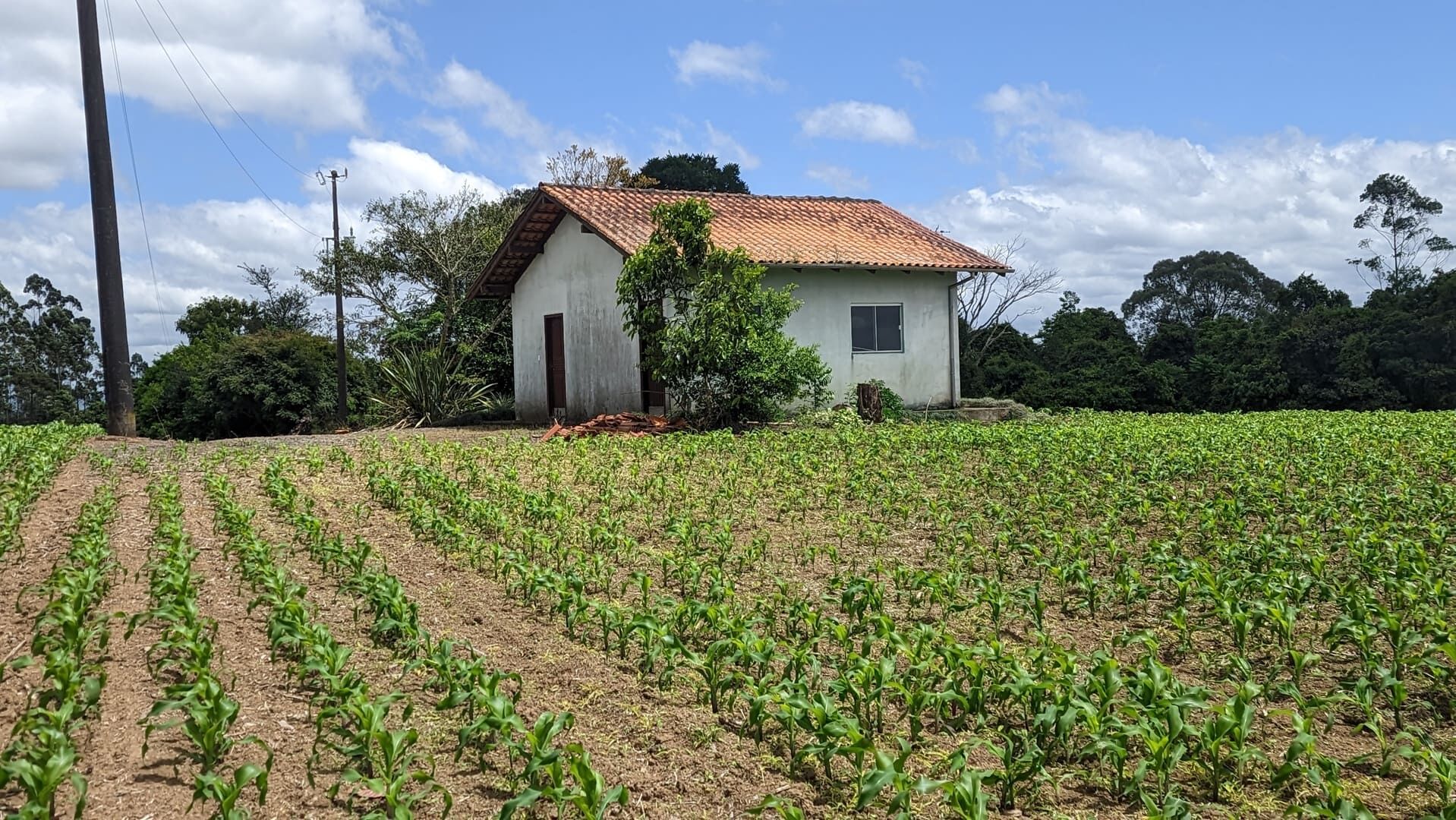 Sítio, 2 quartos, 6 hectares - Foto 2