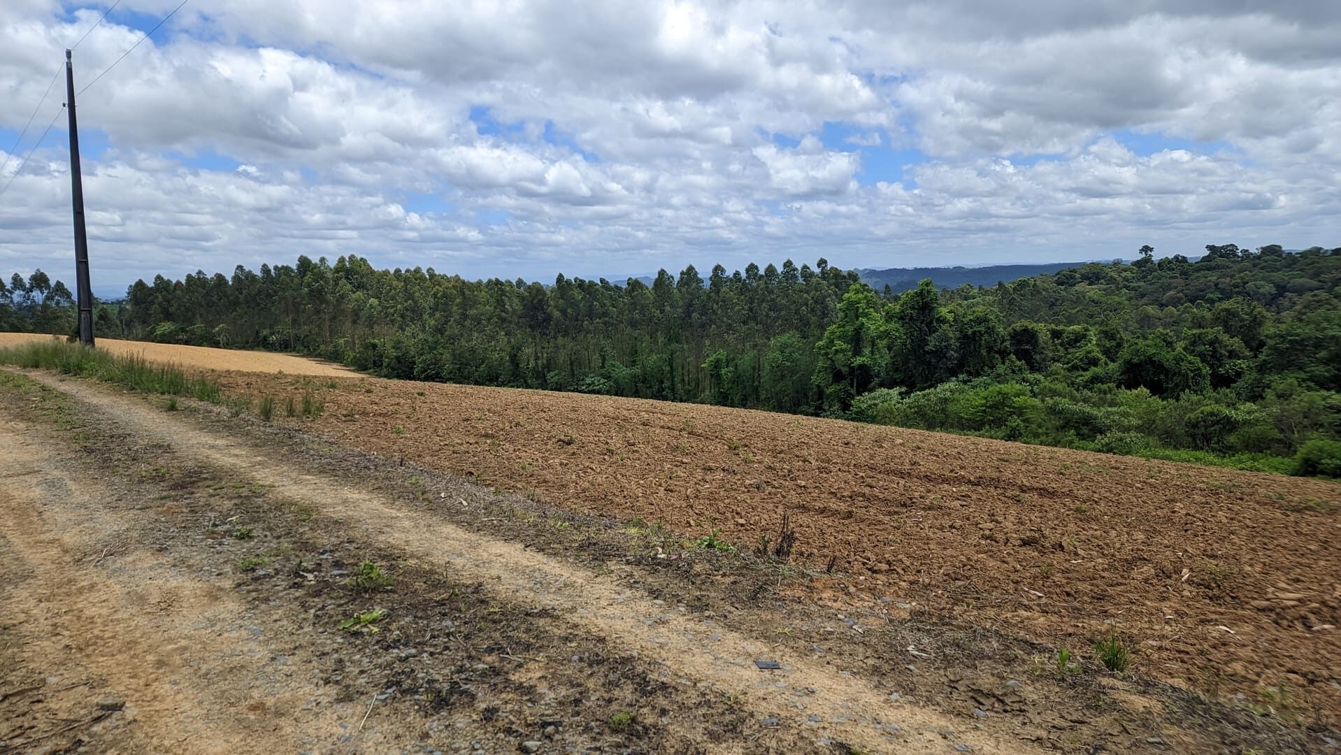 Sítio, 2 quartos, 6 hectares - Foto 14