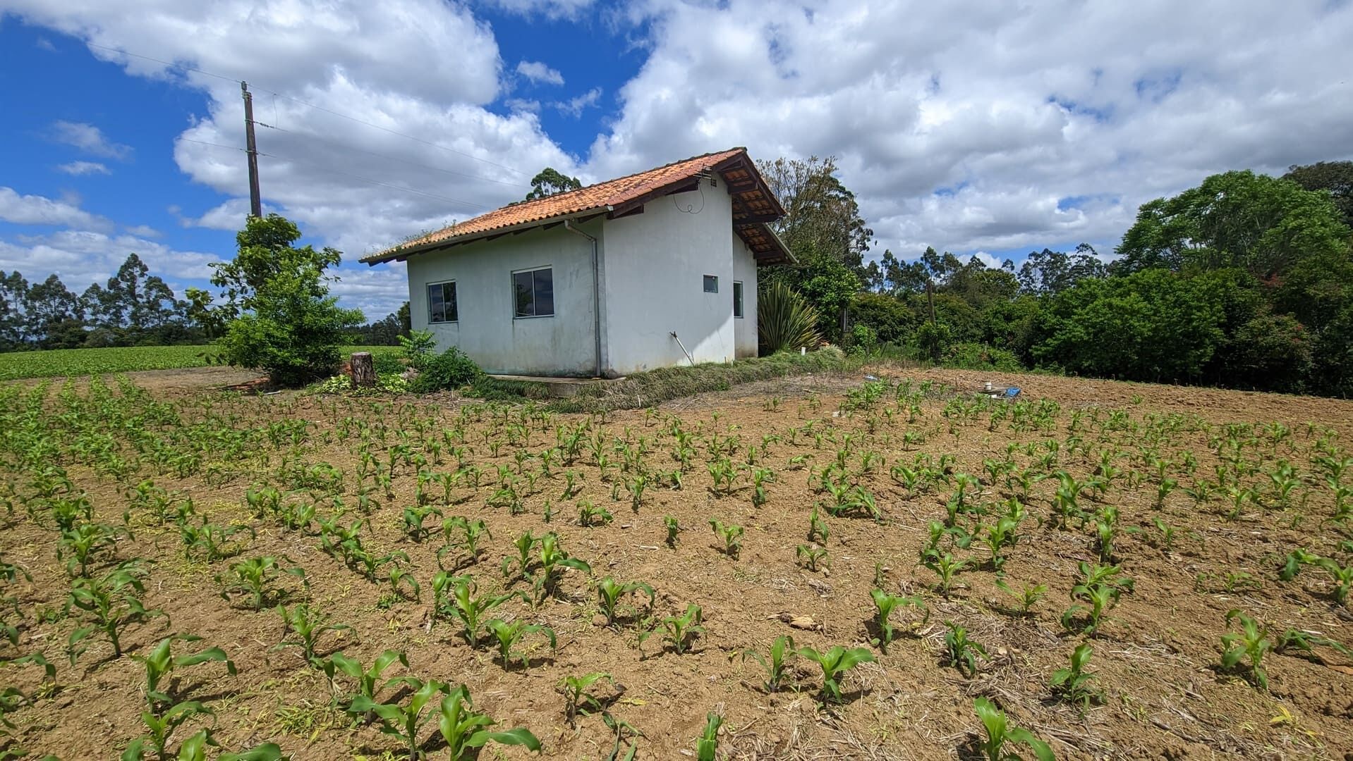 Sítio, 2 quartos, 6 hectares - Foto 4