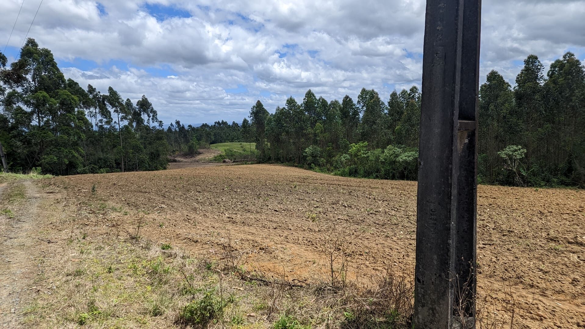 Sítio, 2 quartos, 6 hectares - Foto 13