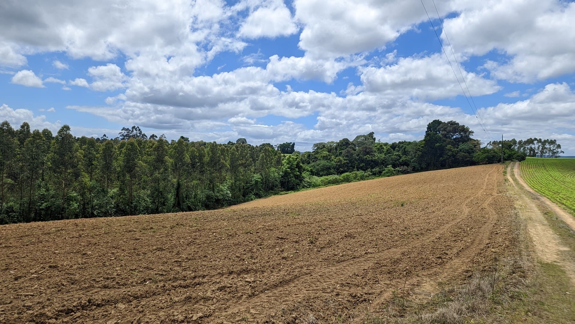 Sítio, 2 quartos, 6 hectares - Foto 12