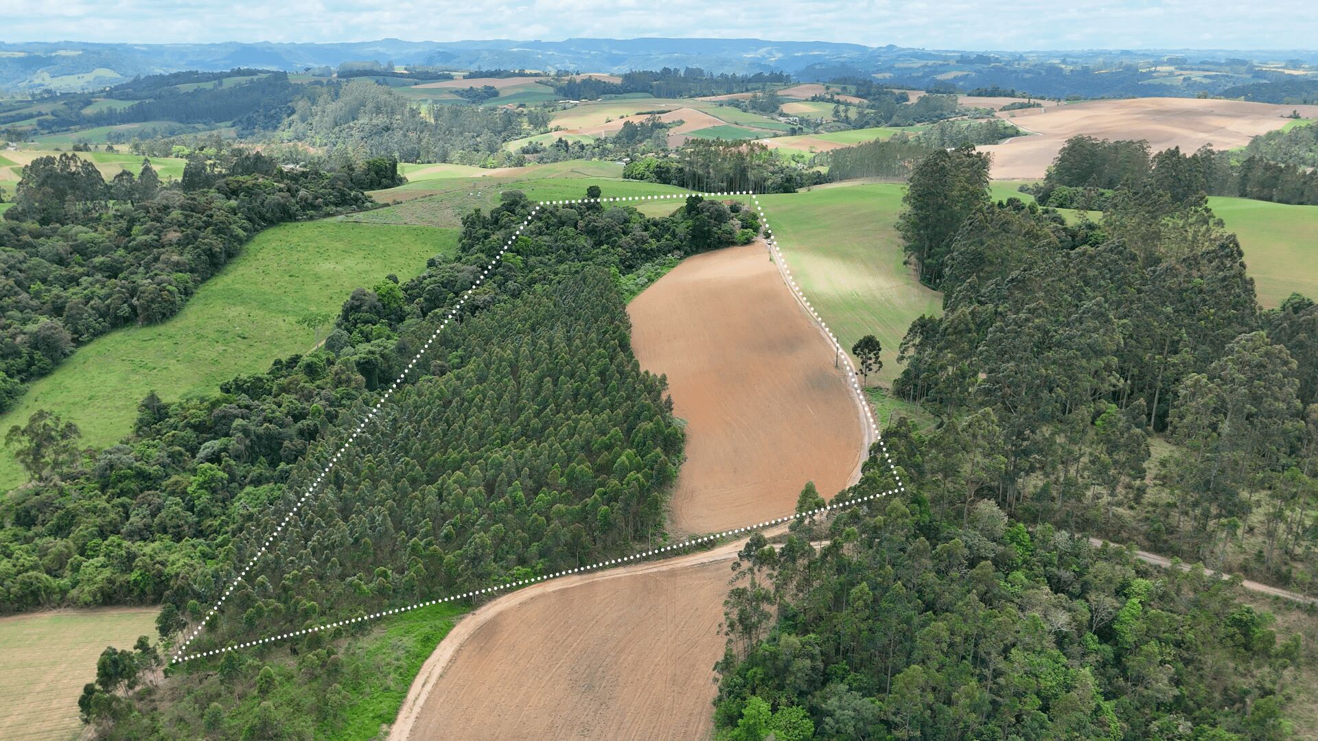 Sítio, 2 quartos, 6 hectares - Foto 6