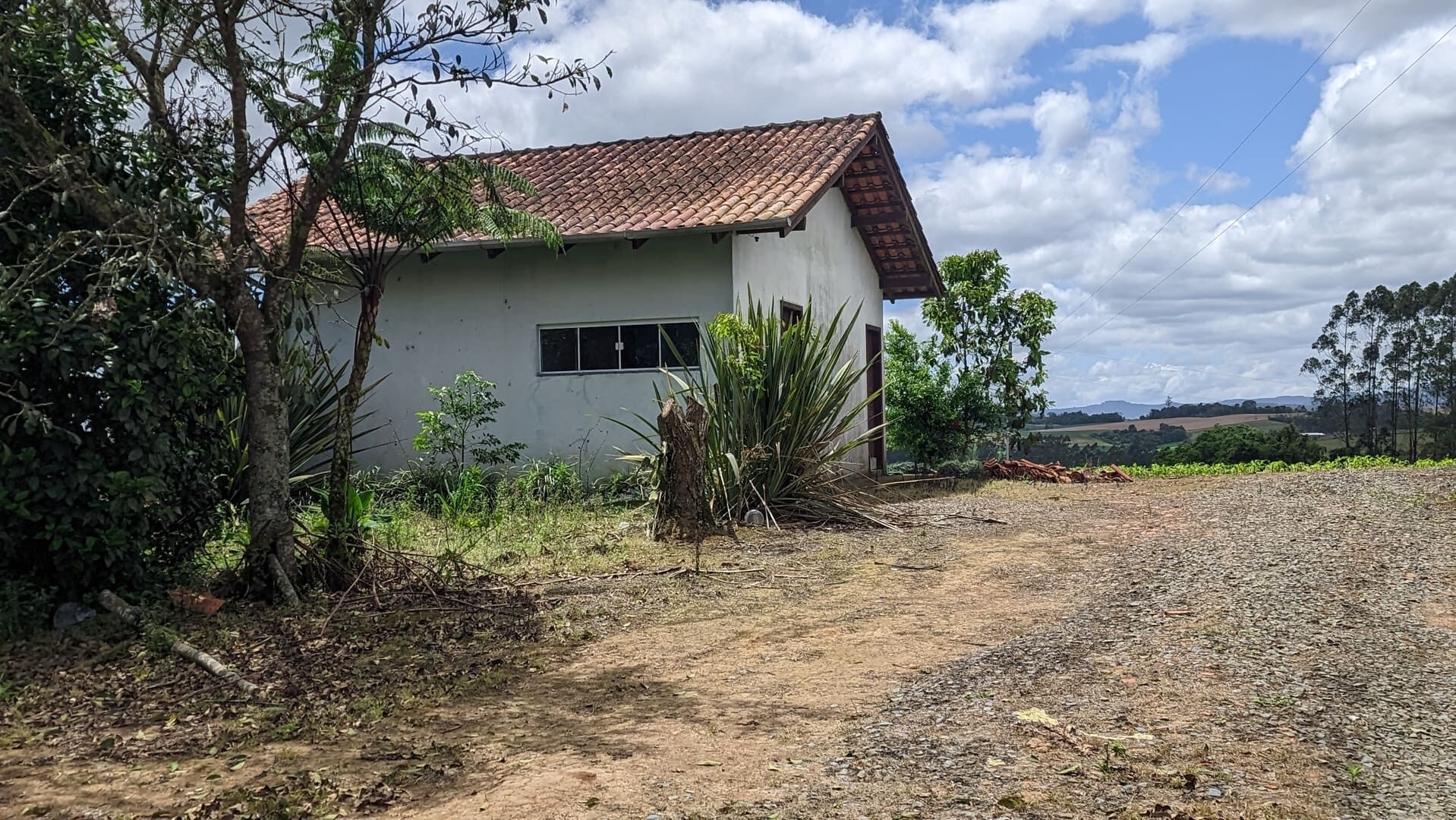 Sítio, 2 quartos, 6 hectares - Foto 3