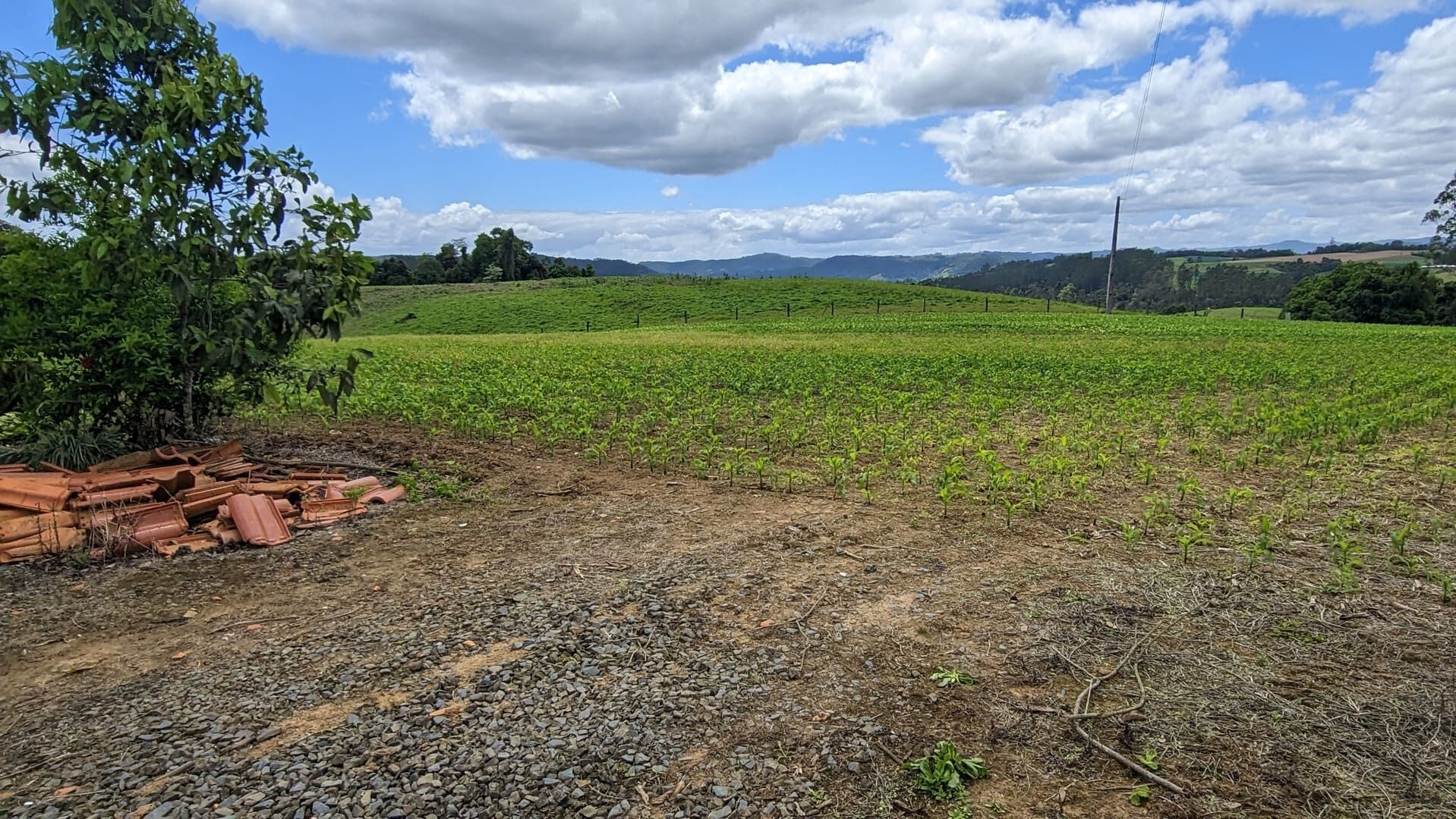 Sítio, 2 quartos, 6 hectares - Foto 20