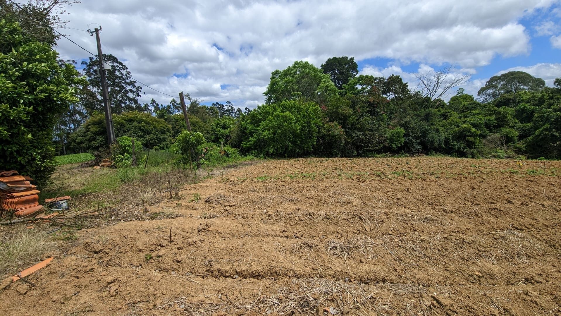 Sítio, 2 quartos, 6 hectares - Foto 16