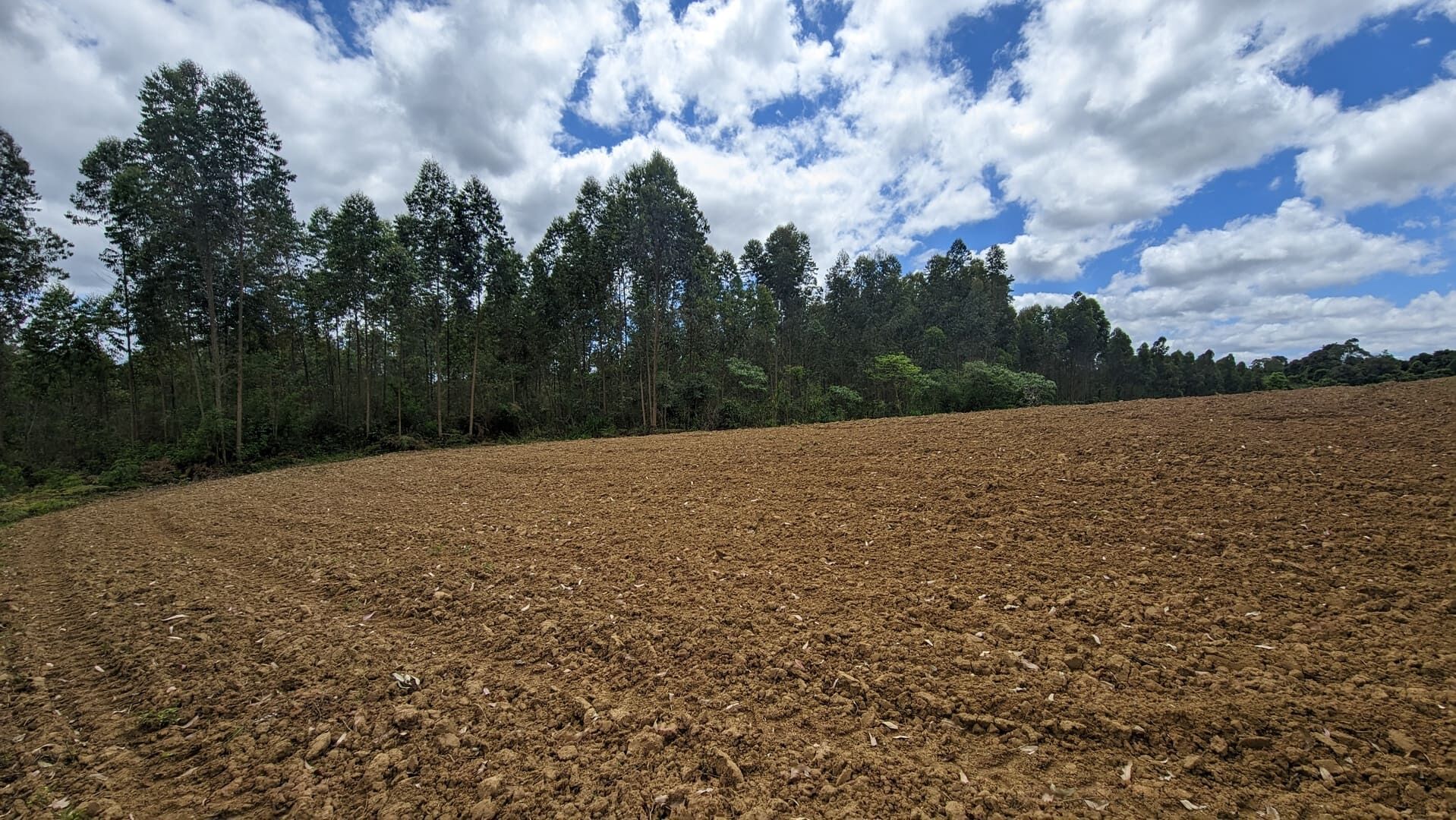 Sítio, 2 quartos, 6 hectares - Foto 11