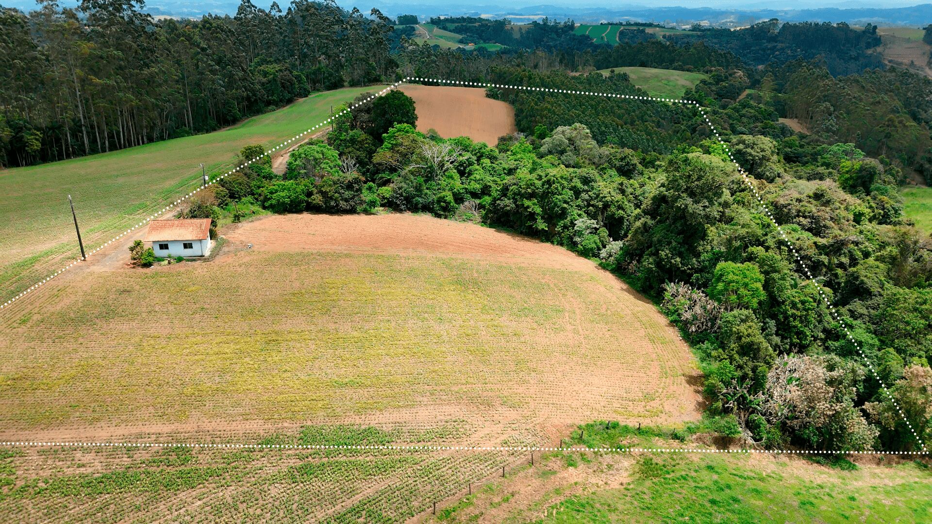 Sítio, 2 quartos, 6 hectares - Foto 7