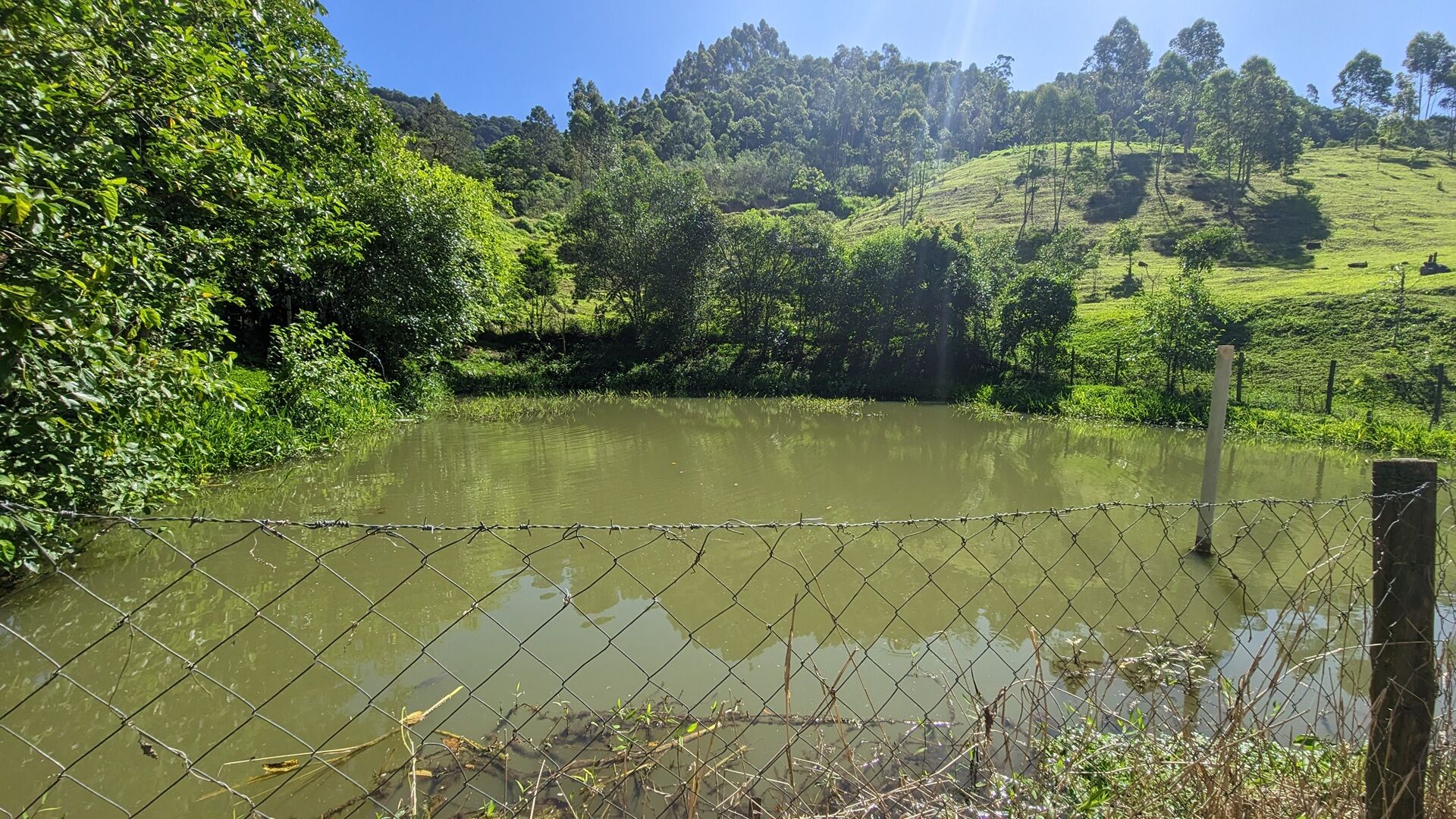 Terreno, 2 hectares - Foto 1