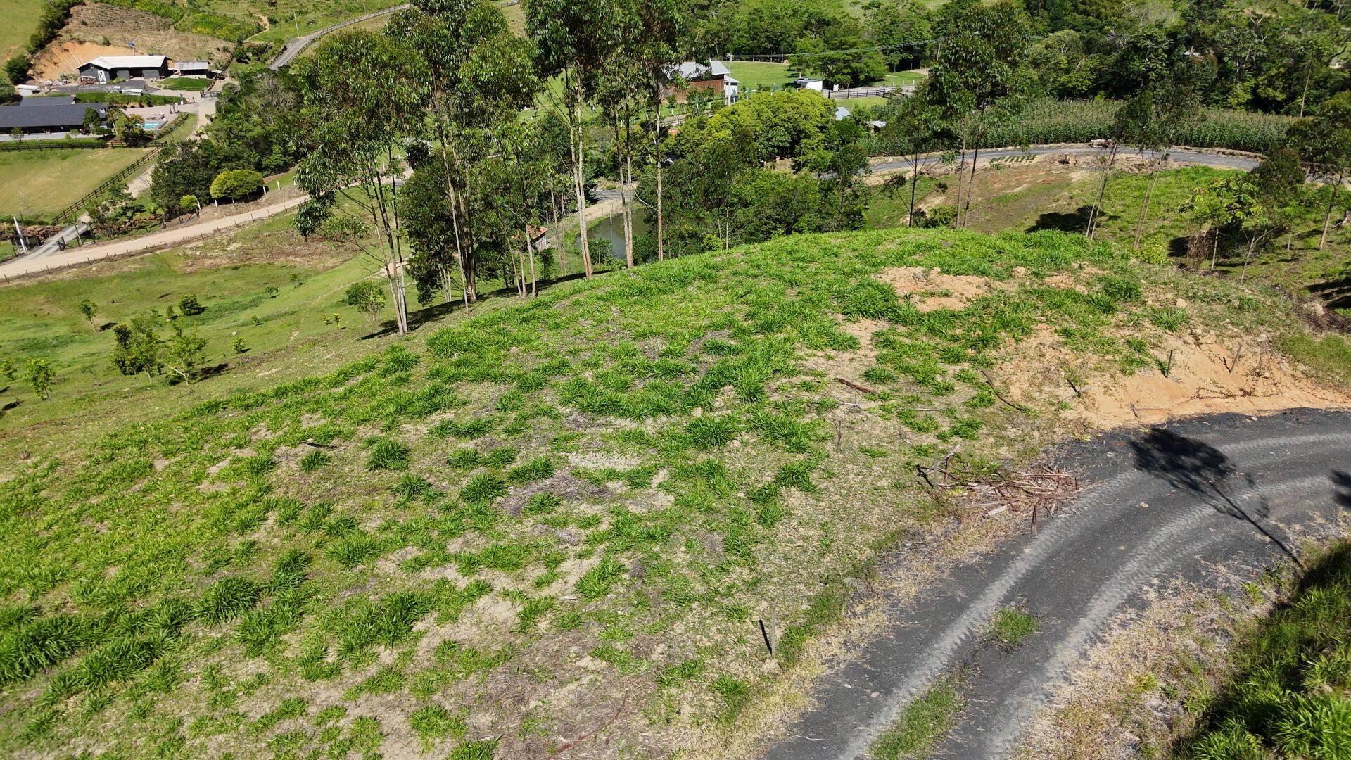 Terreno, 2 hectares - Foto 3