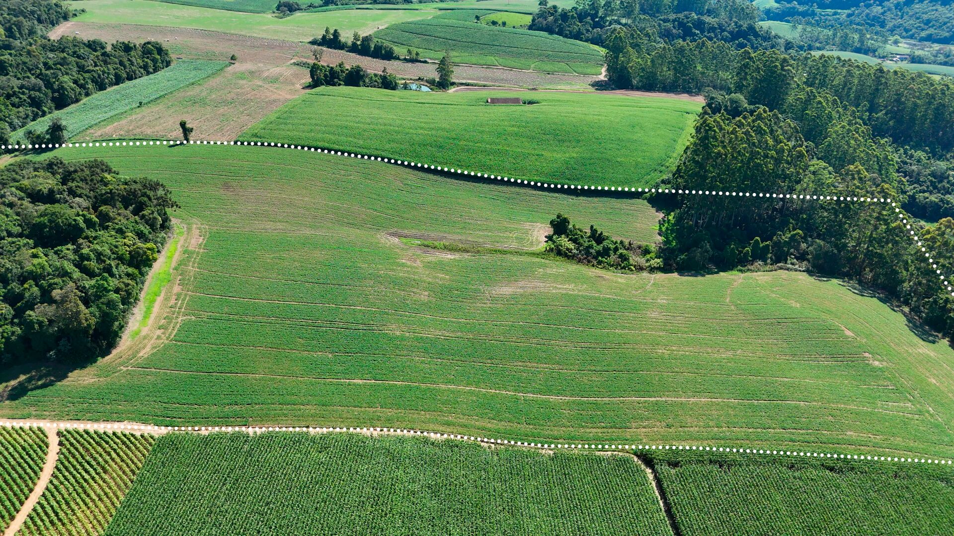 Terreno, 10 hectares - Foto 2