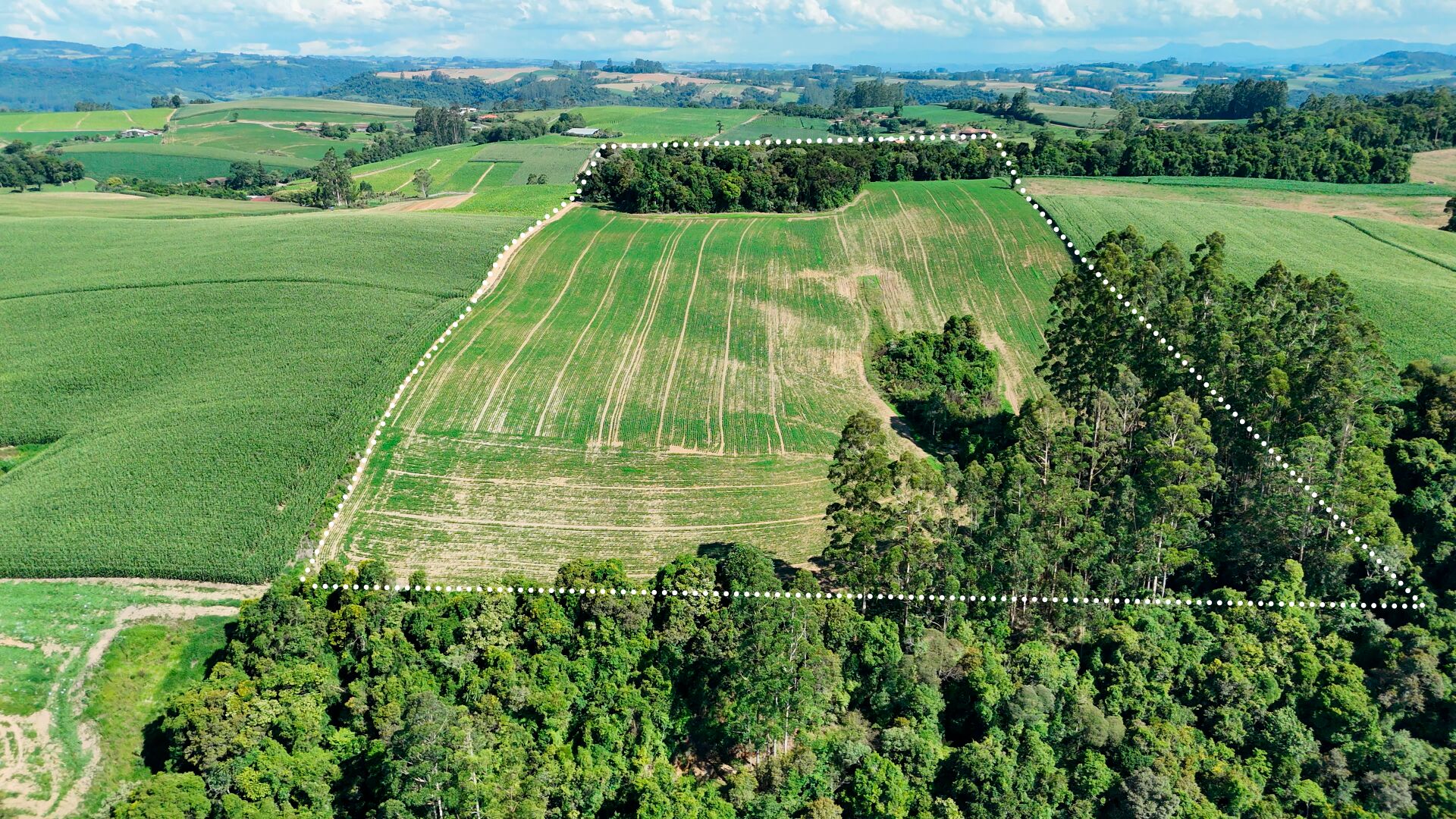 Terreno, 10 hectares - Foto 1