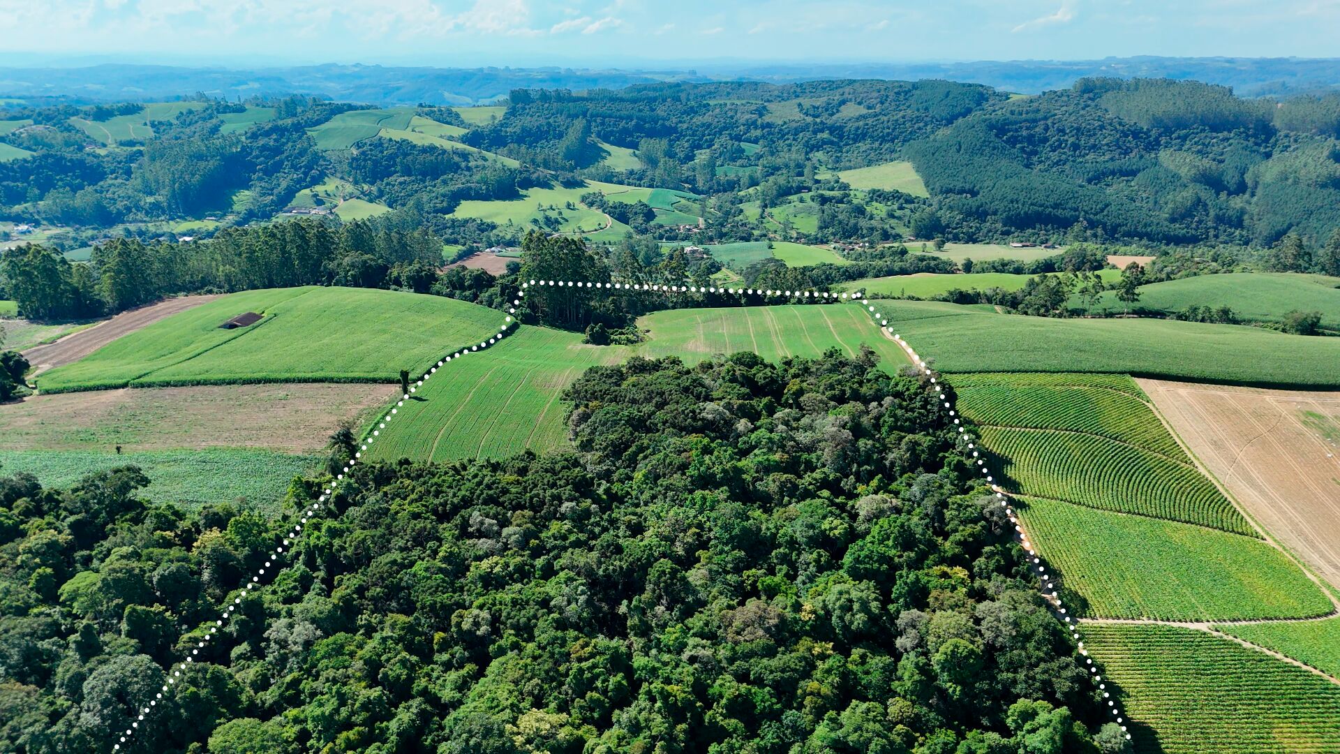 Terreno, 10 hectares - Foto 3