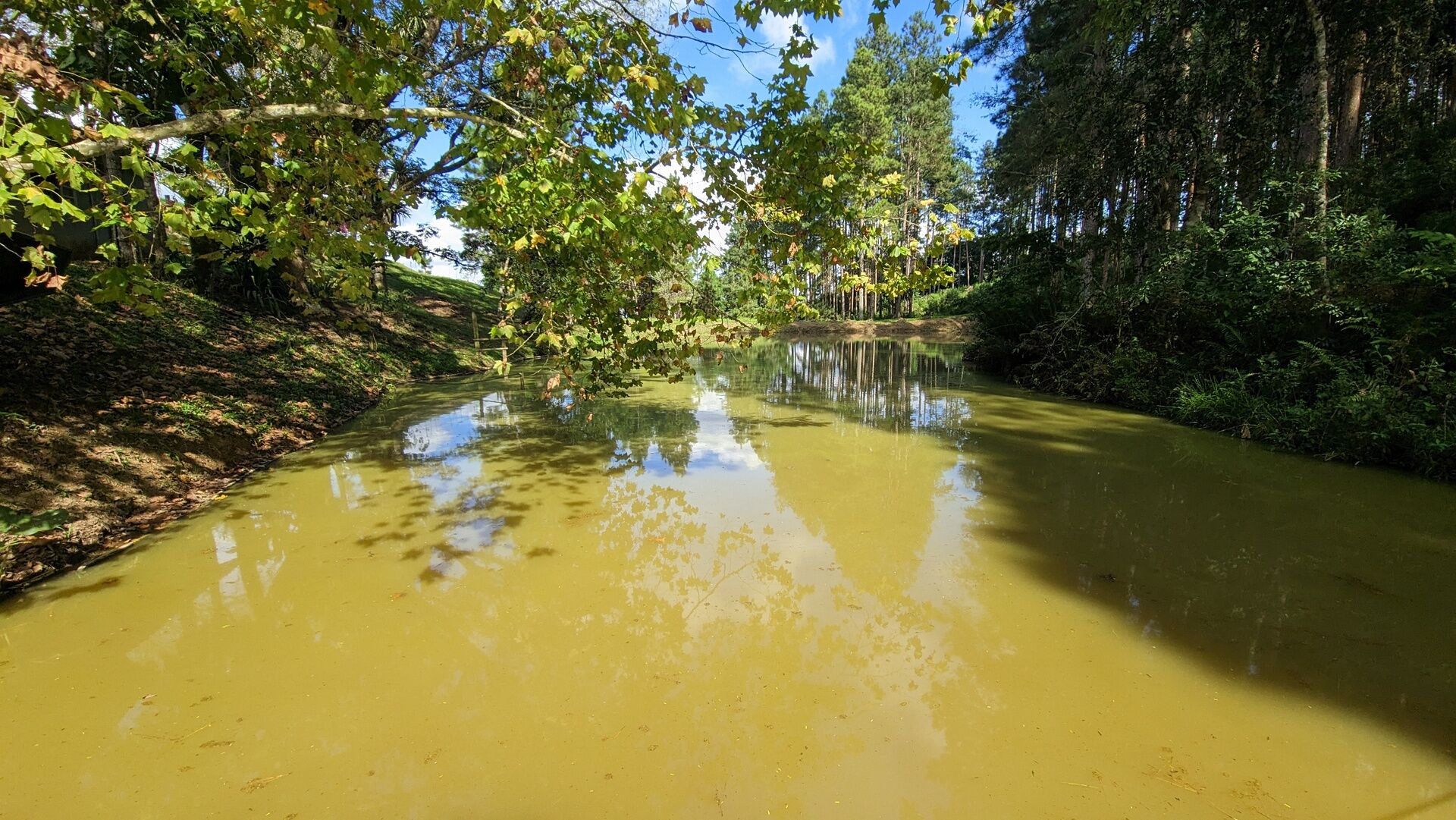 Sítio, 11 hectares - Foto 25