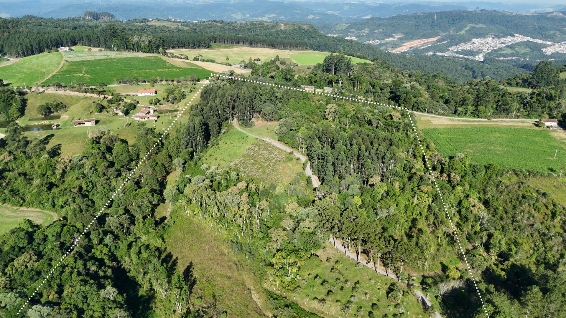 Sítio, 11 hectares - Foto 3