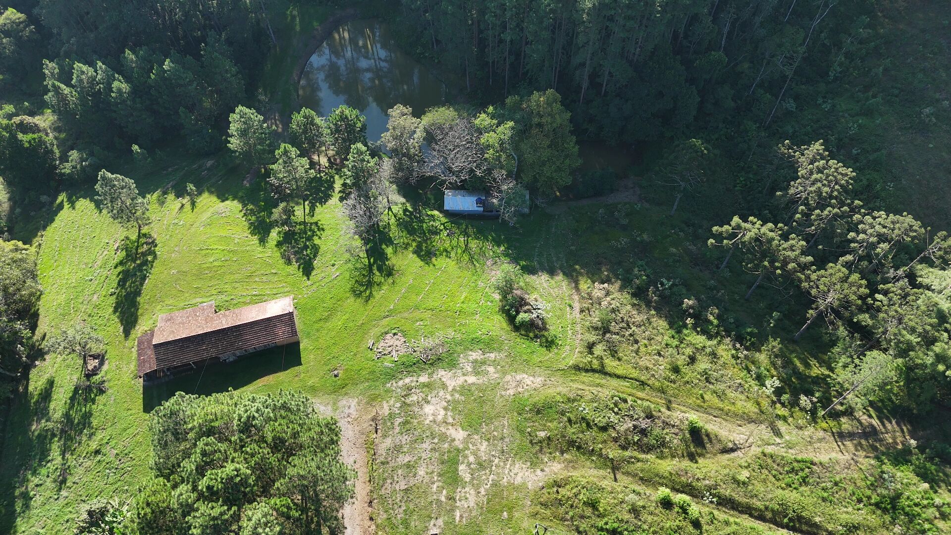 Sítio, 11 hectares - Foto 5