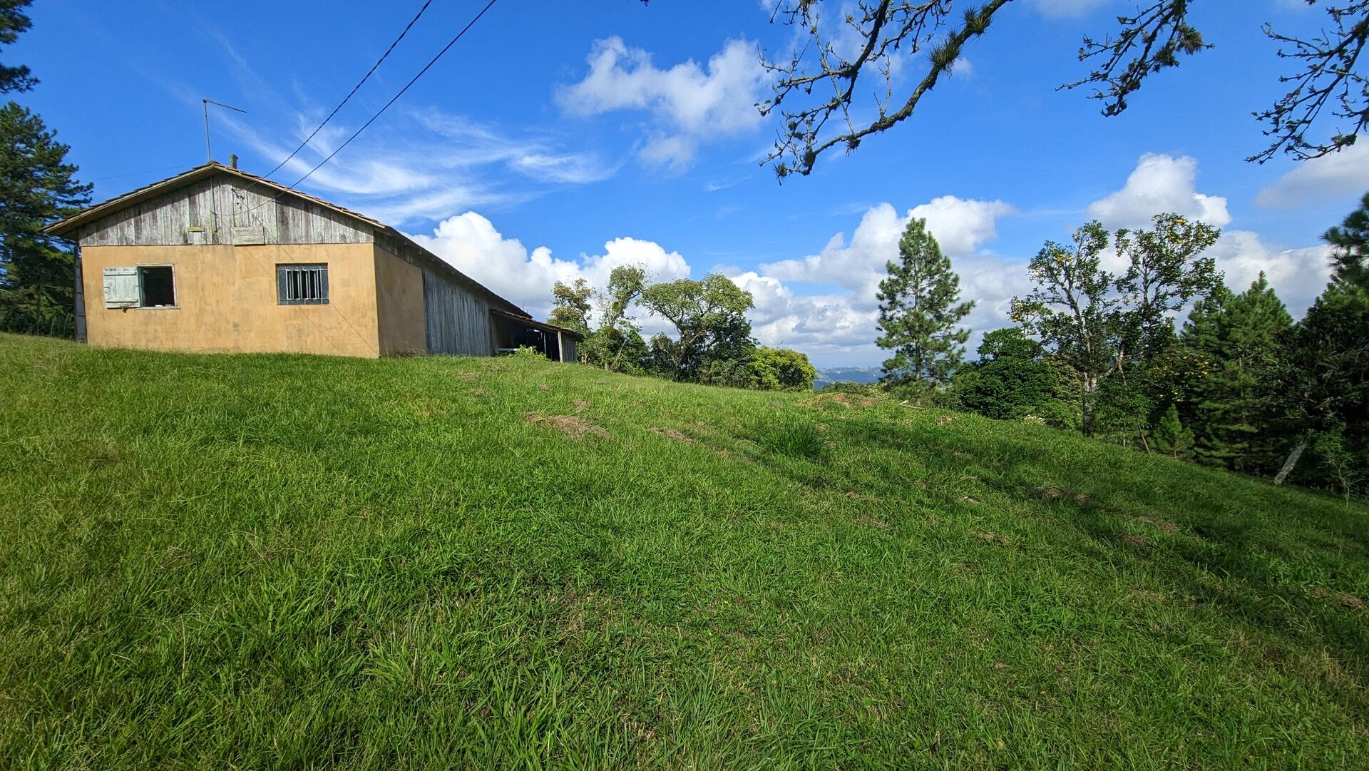 Sítio, 11 hectares - Foto 30