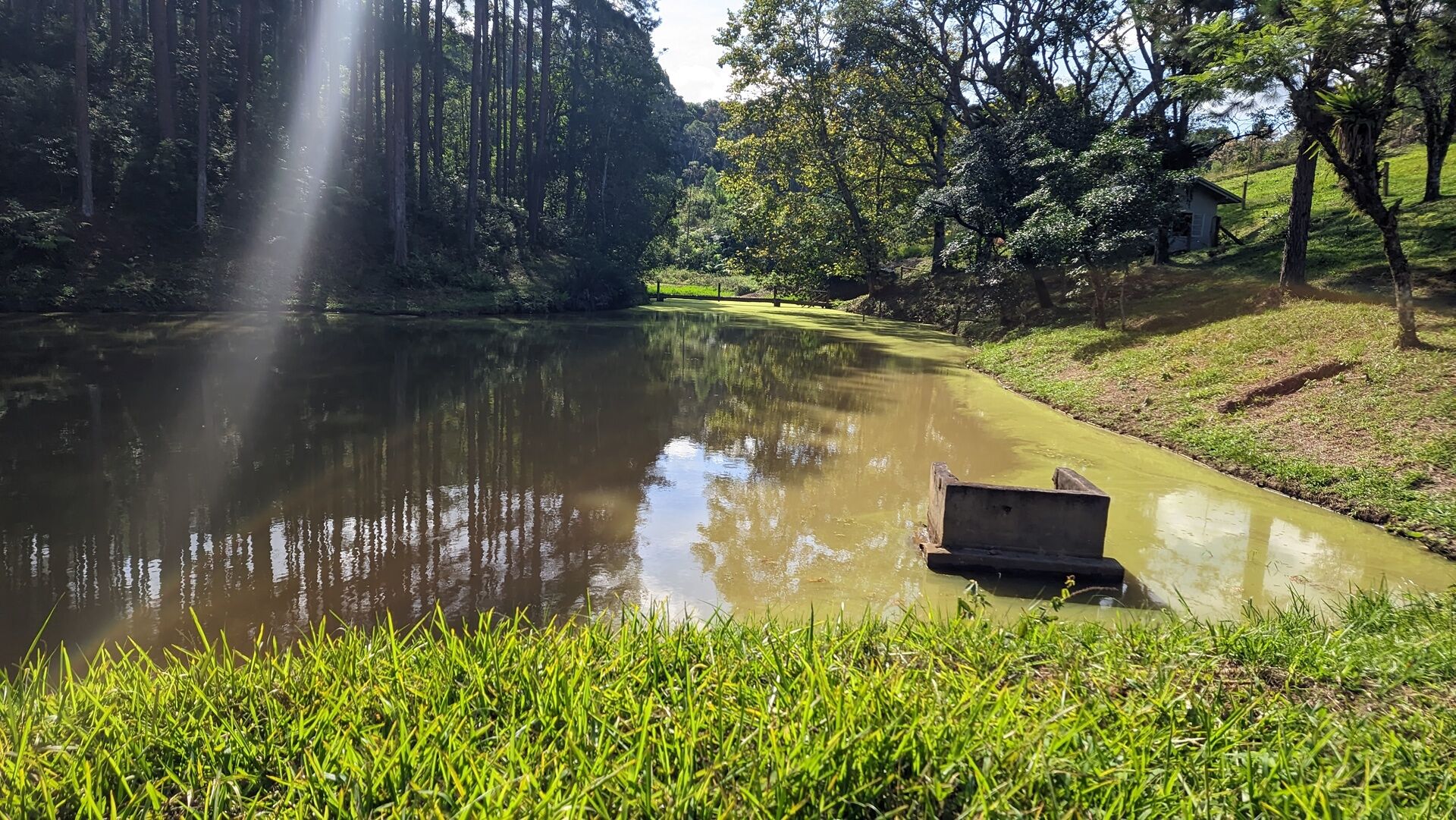 Sítio, 11 hectares - Foto 23