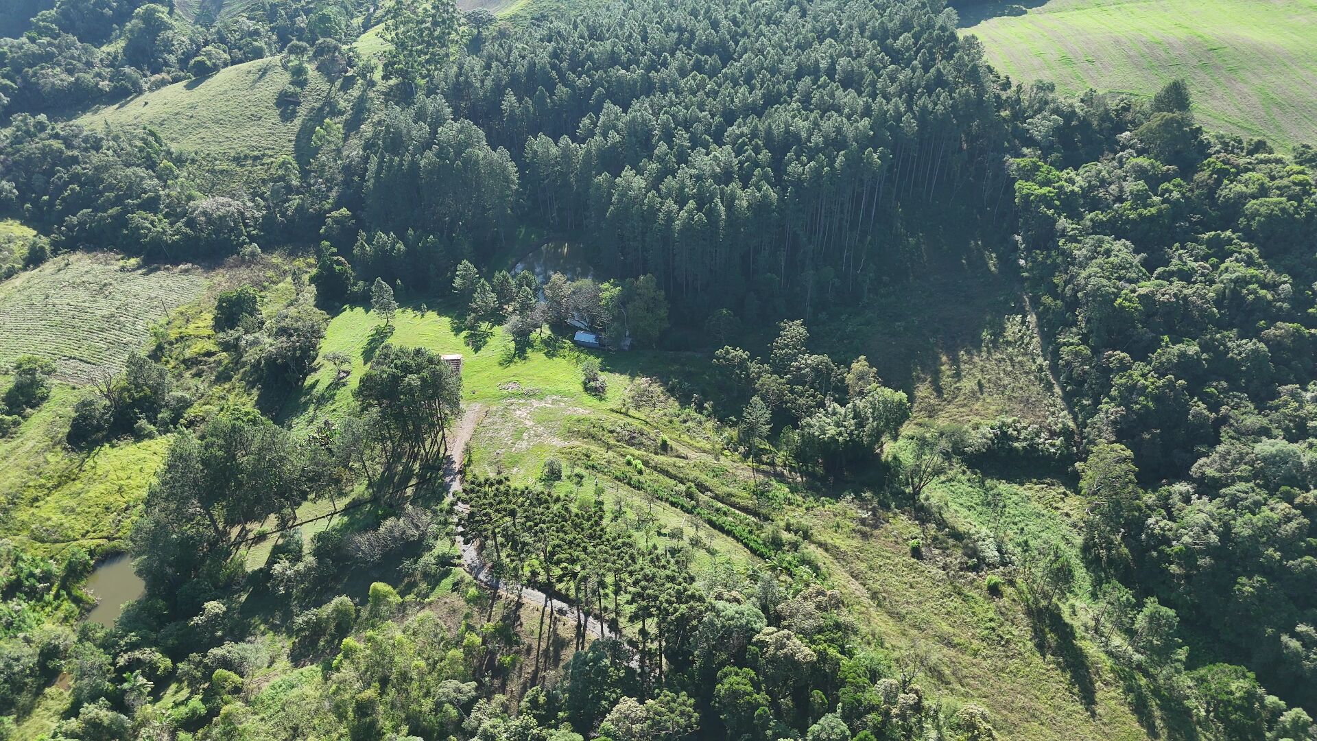 Sítio, 11 hectares - Foto 9