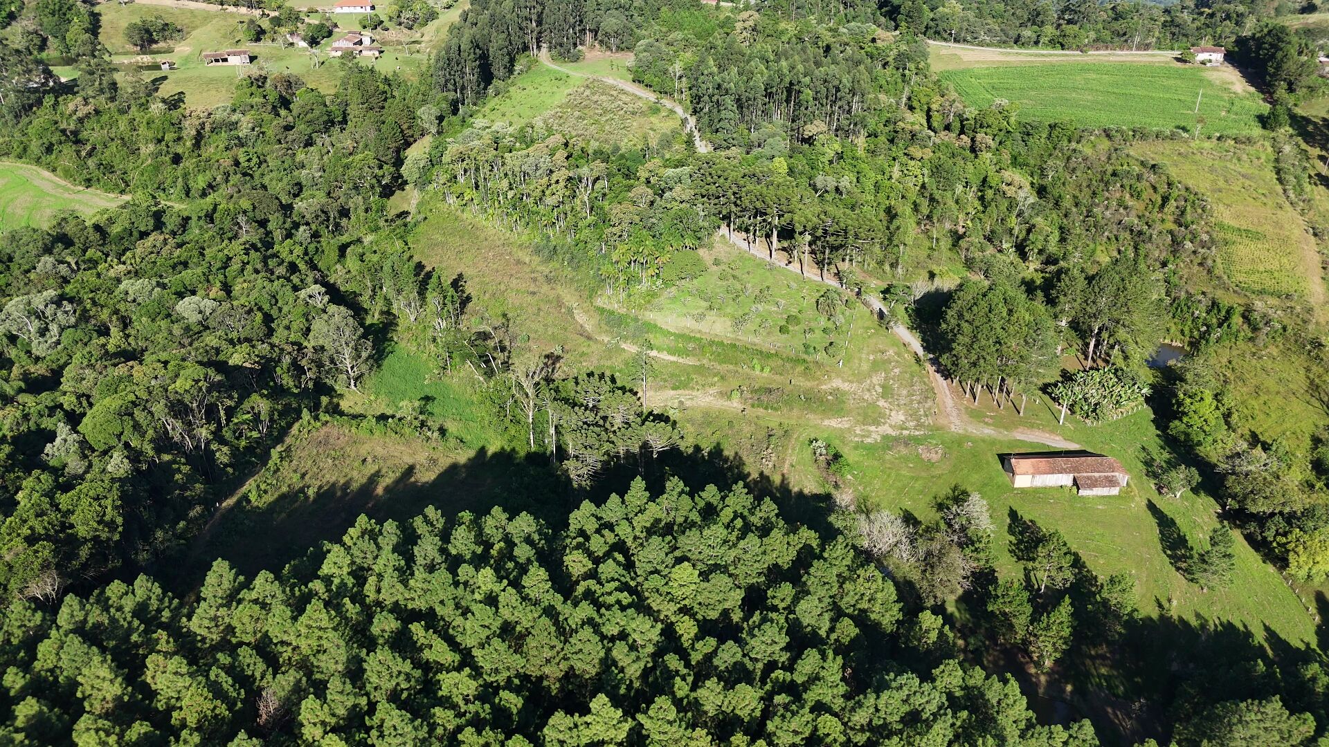 Sítio, 11 hectares - Foto 10