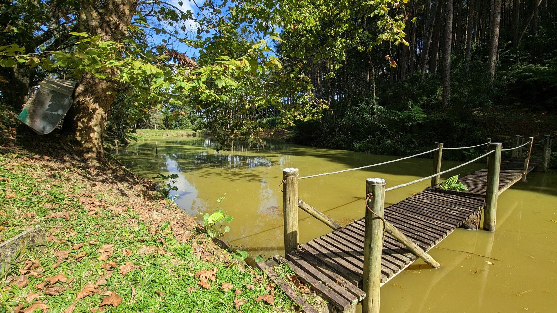 Sítio, 11 hectares - Foto 1