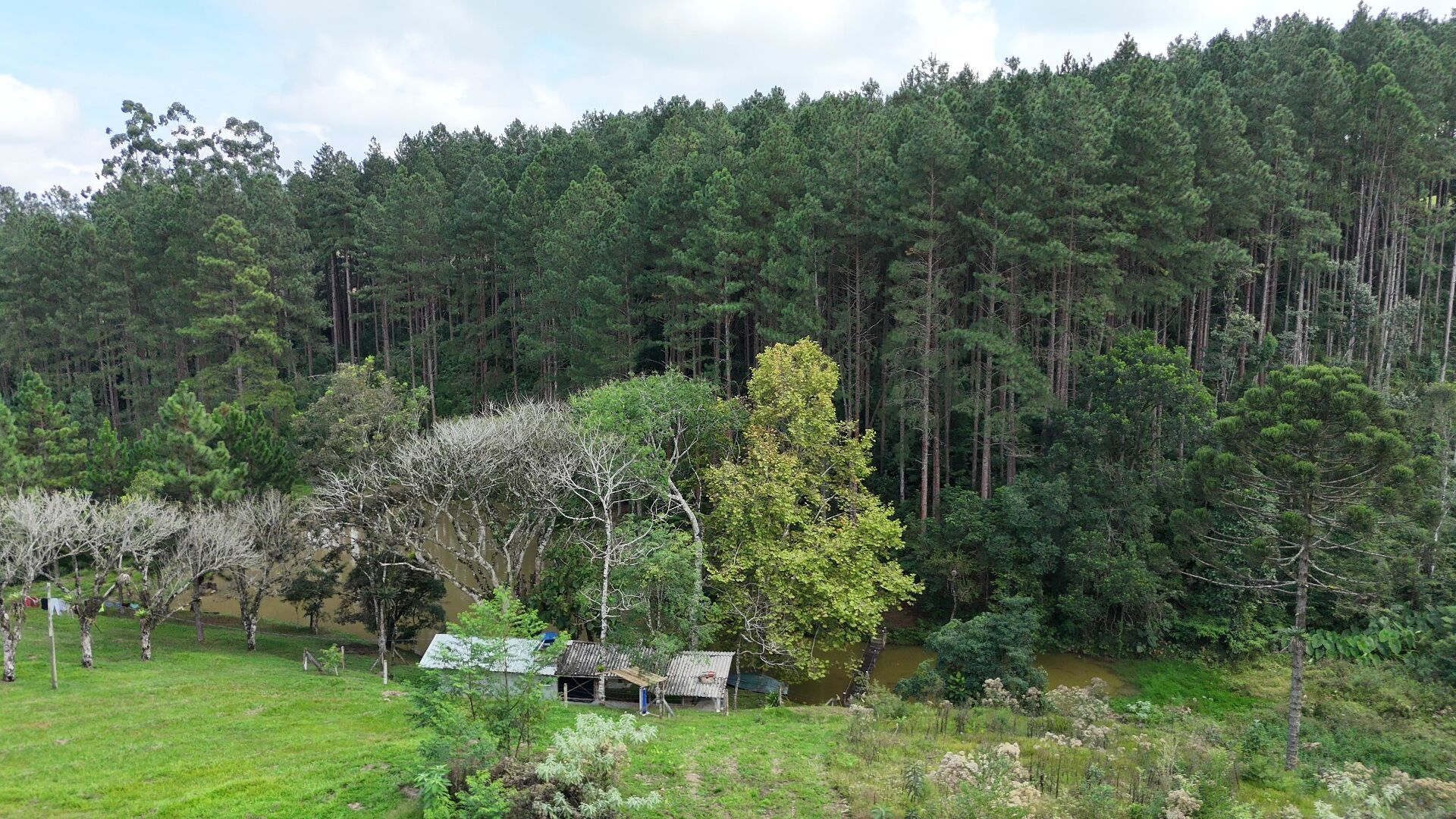 Sítio, 11 hectares - Foto 13