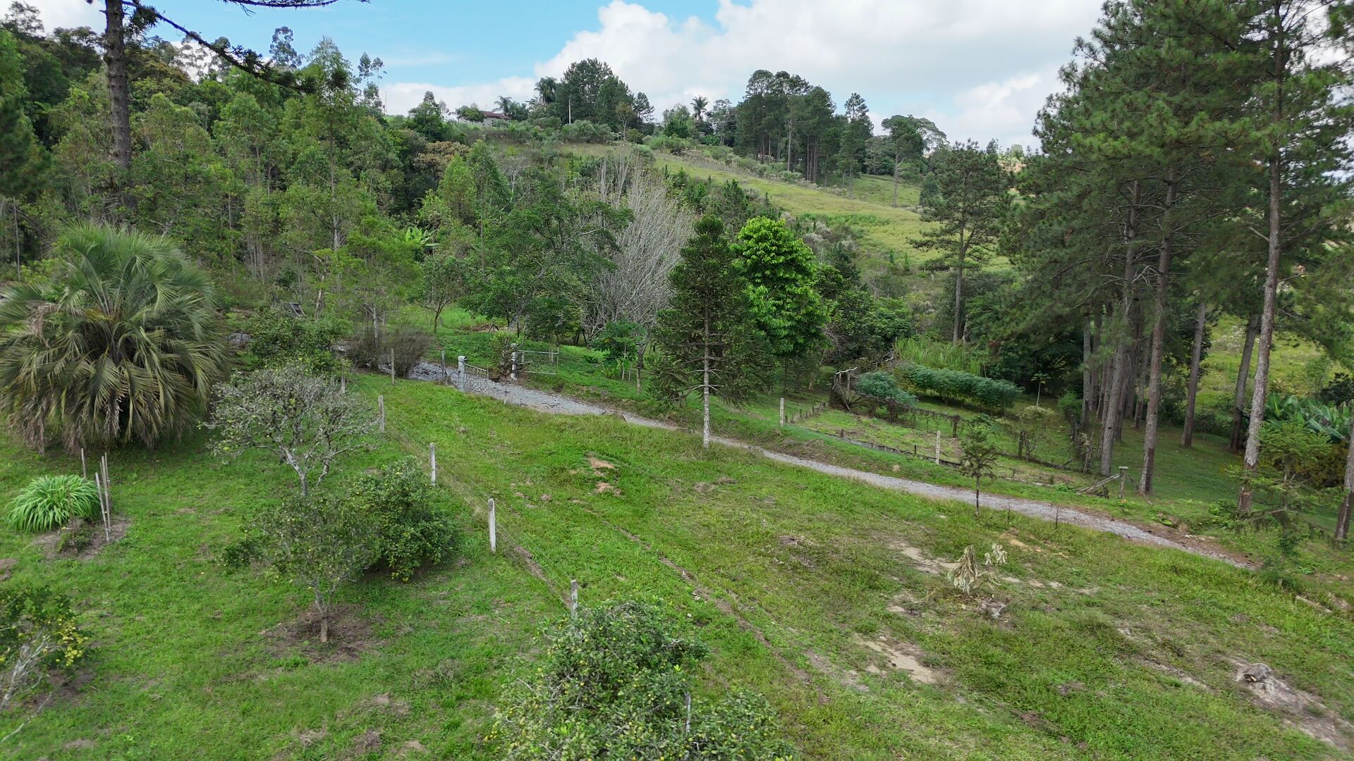 Sítio, 11 hectares - Foto 7