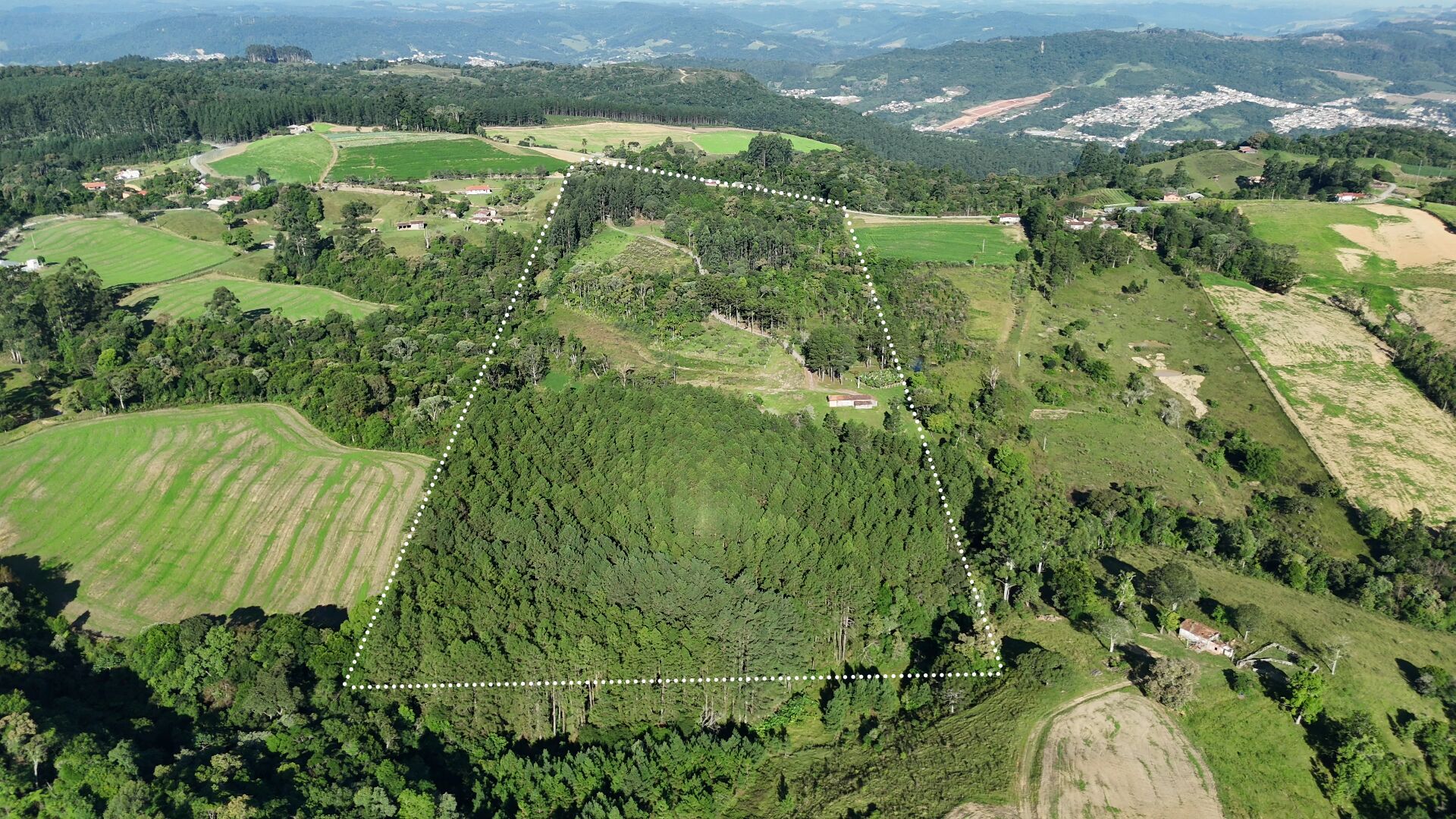 Sítio, 11 hectares - Foto 2