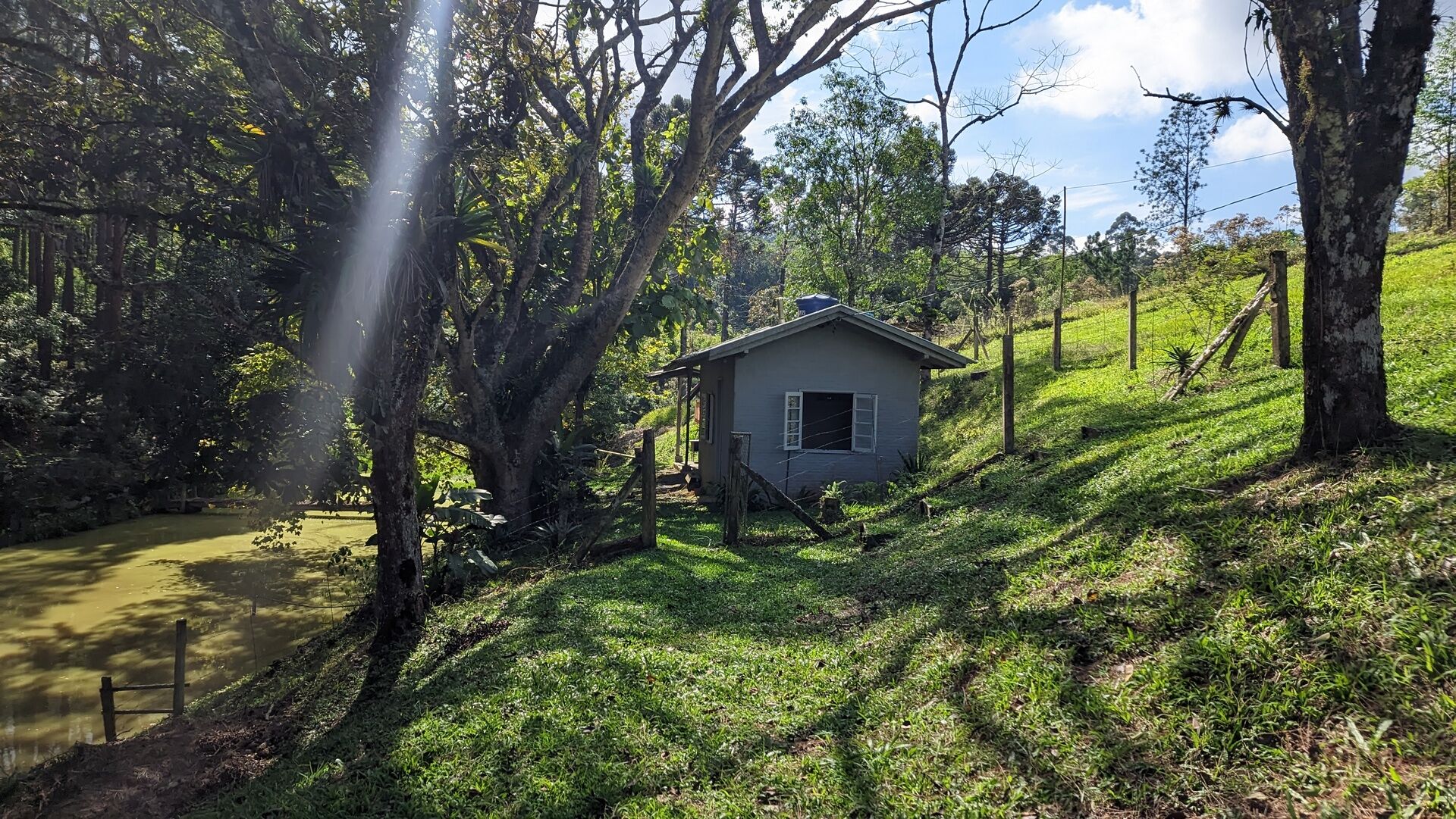 Sítio, 11 hectares - Foto 21