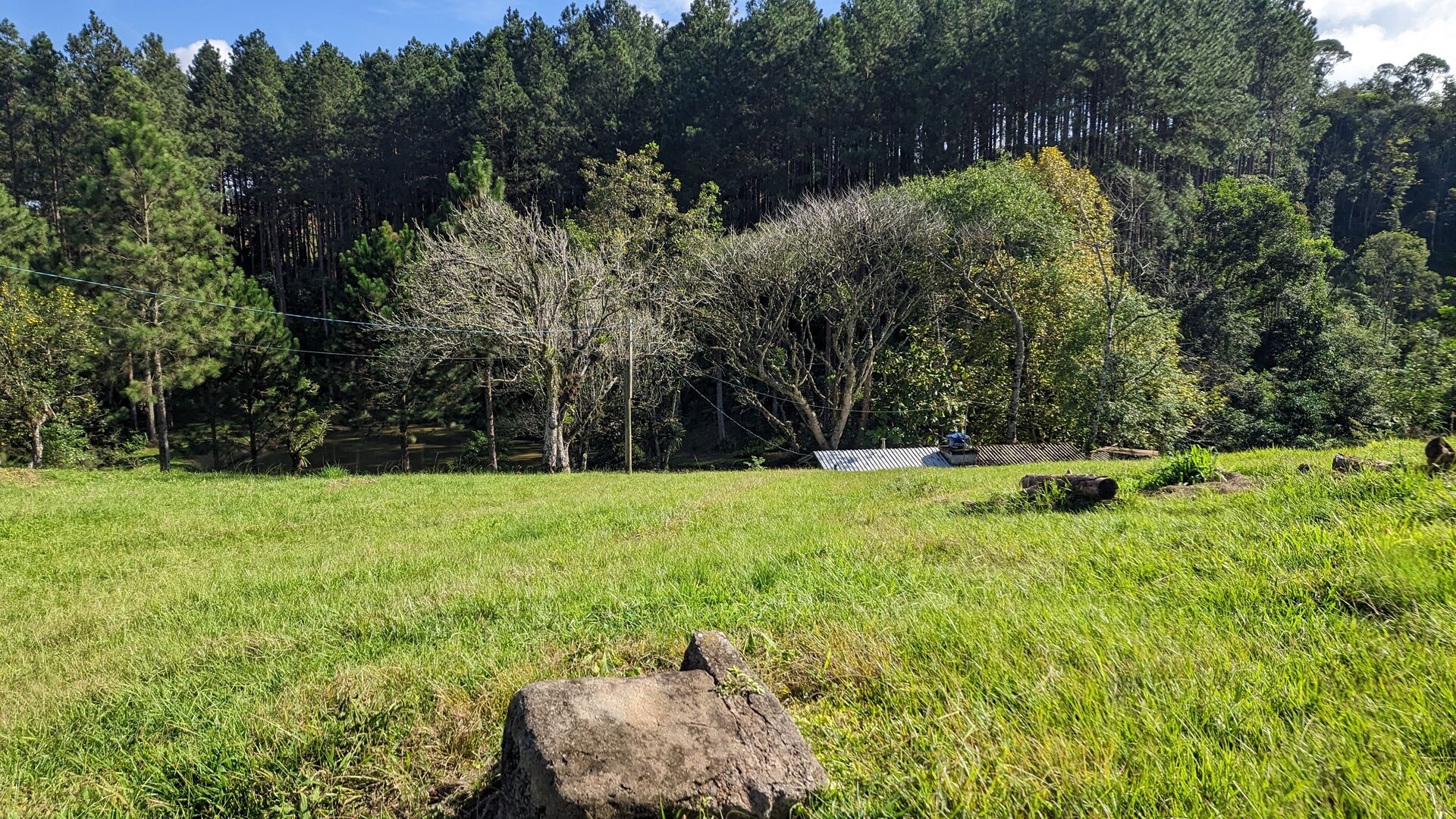 Sítio, 11 hectares - Foto 4