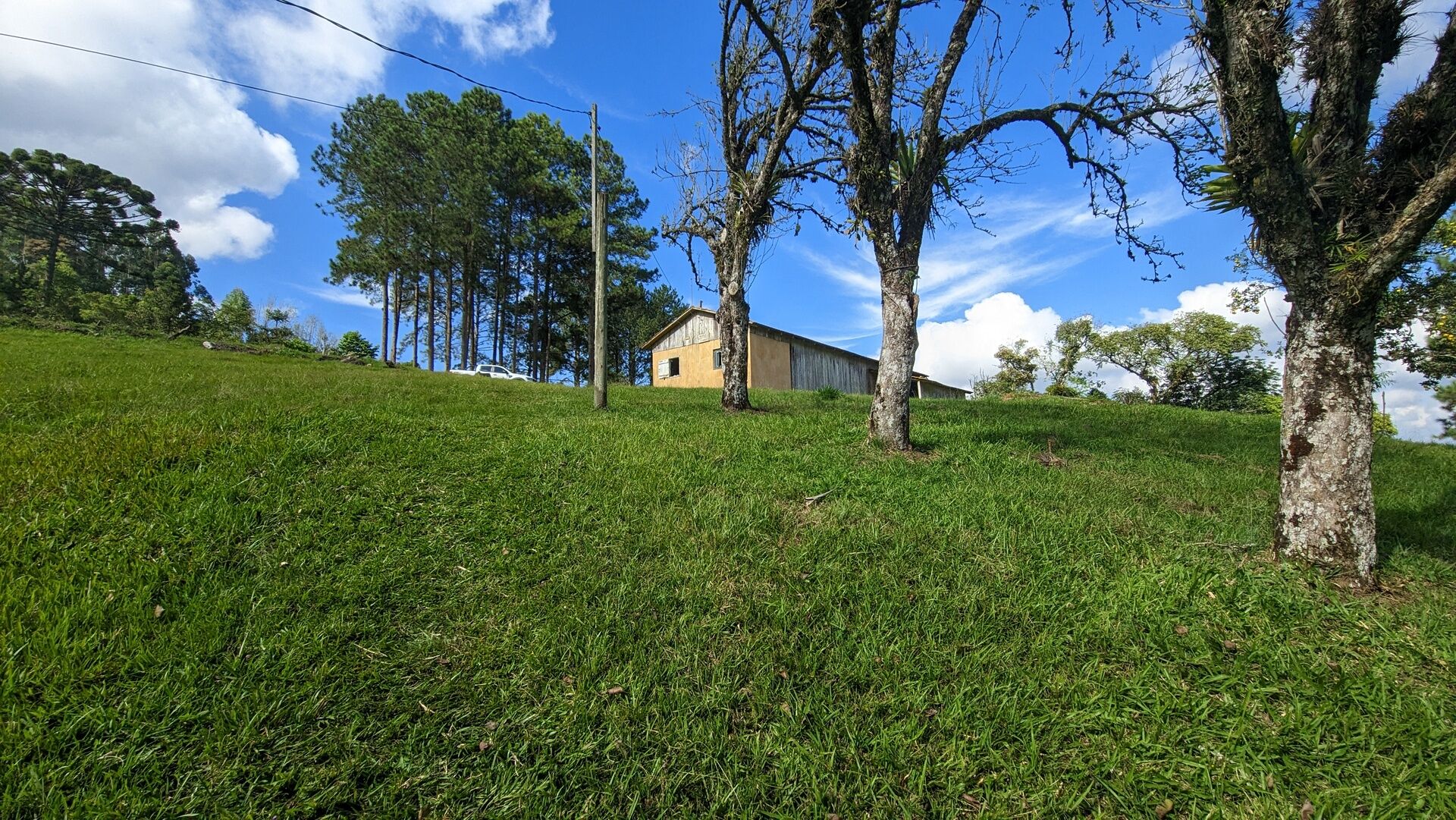 Sítio, 11 hectares - Foto 11