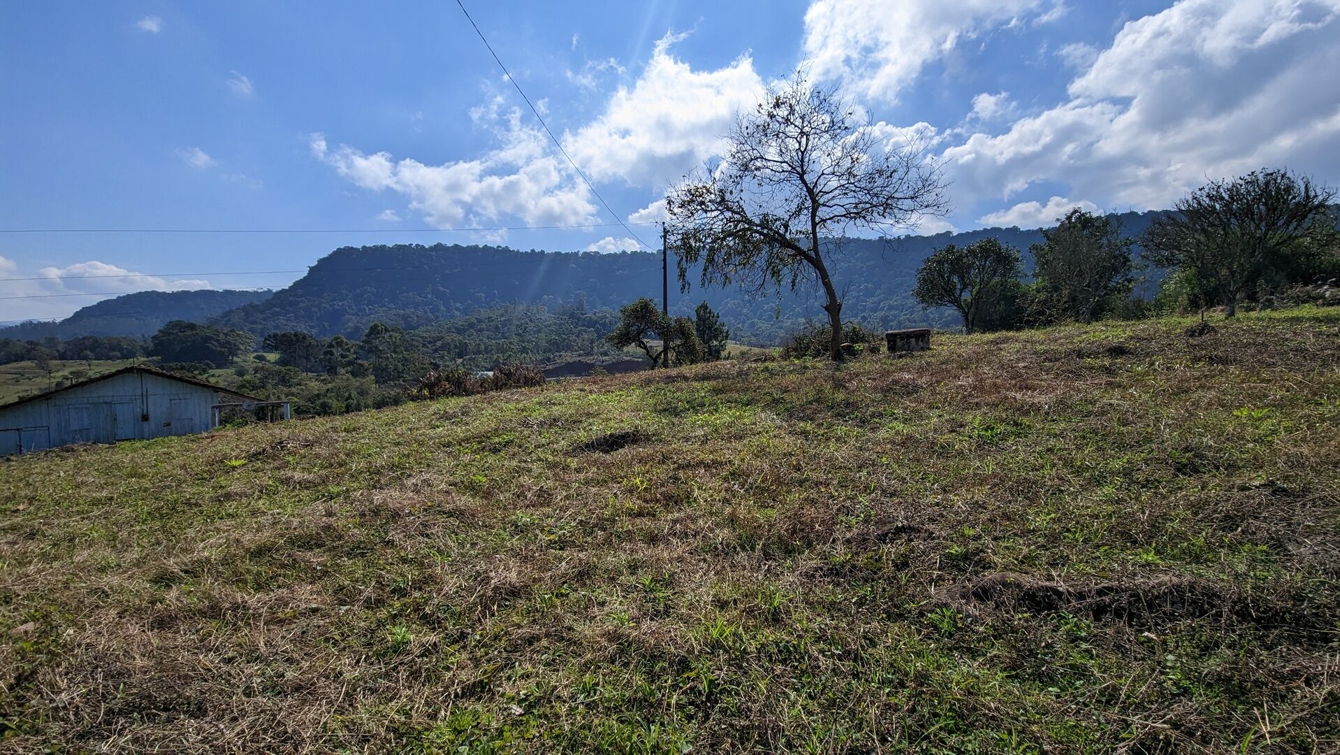 Sítio, 5 hectares - Foto 8