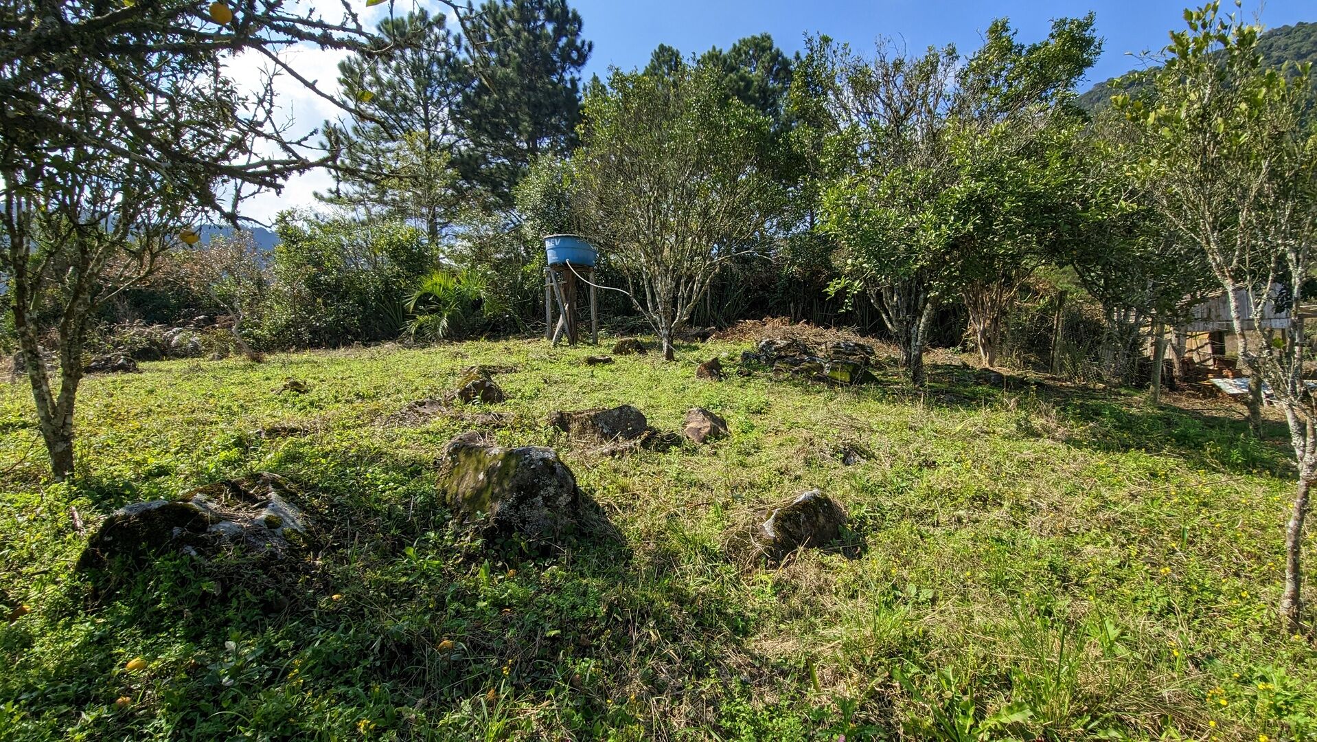 Sítio, 5 hectares - Foto 9