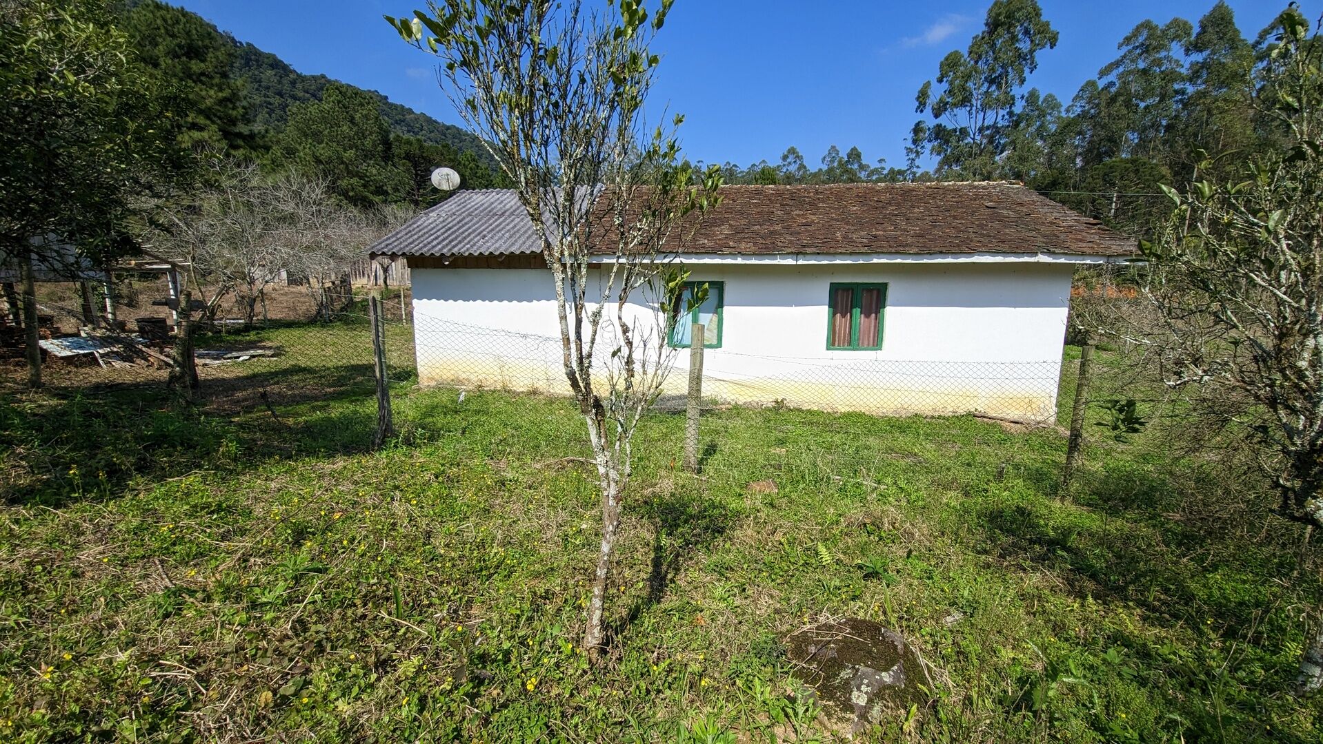 Sítio, 5 hectares - Foto 10