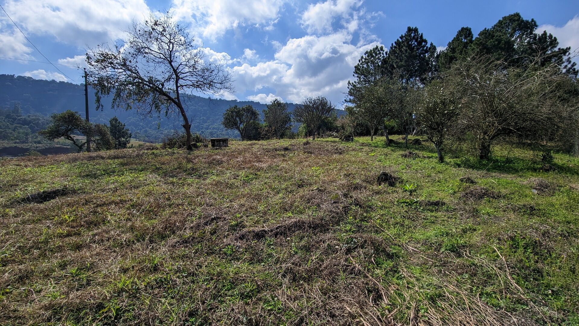 Sítio, 5 hectares - Foto 7