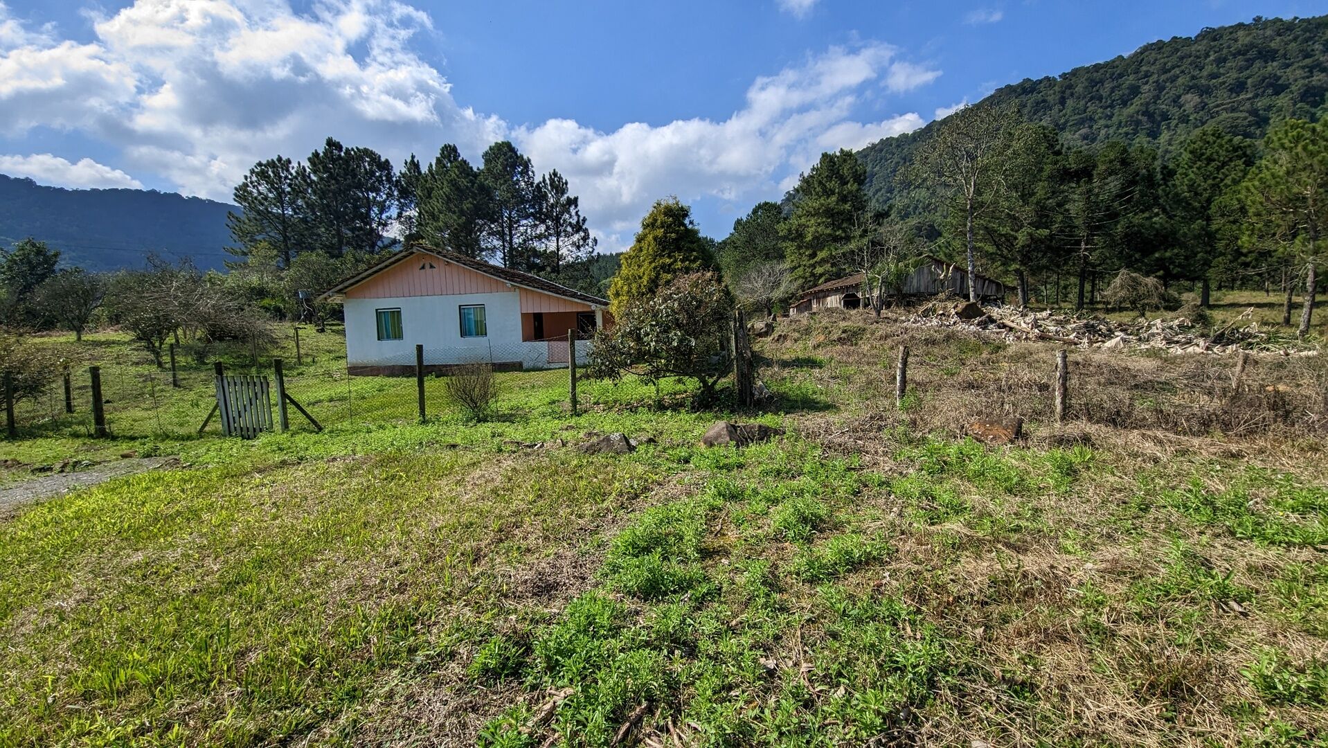 Sítio, 5 hectares - Foto 6