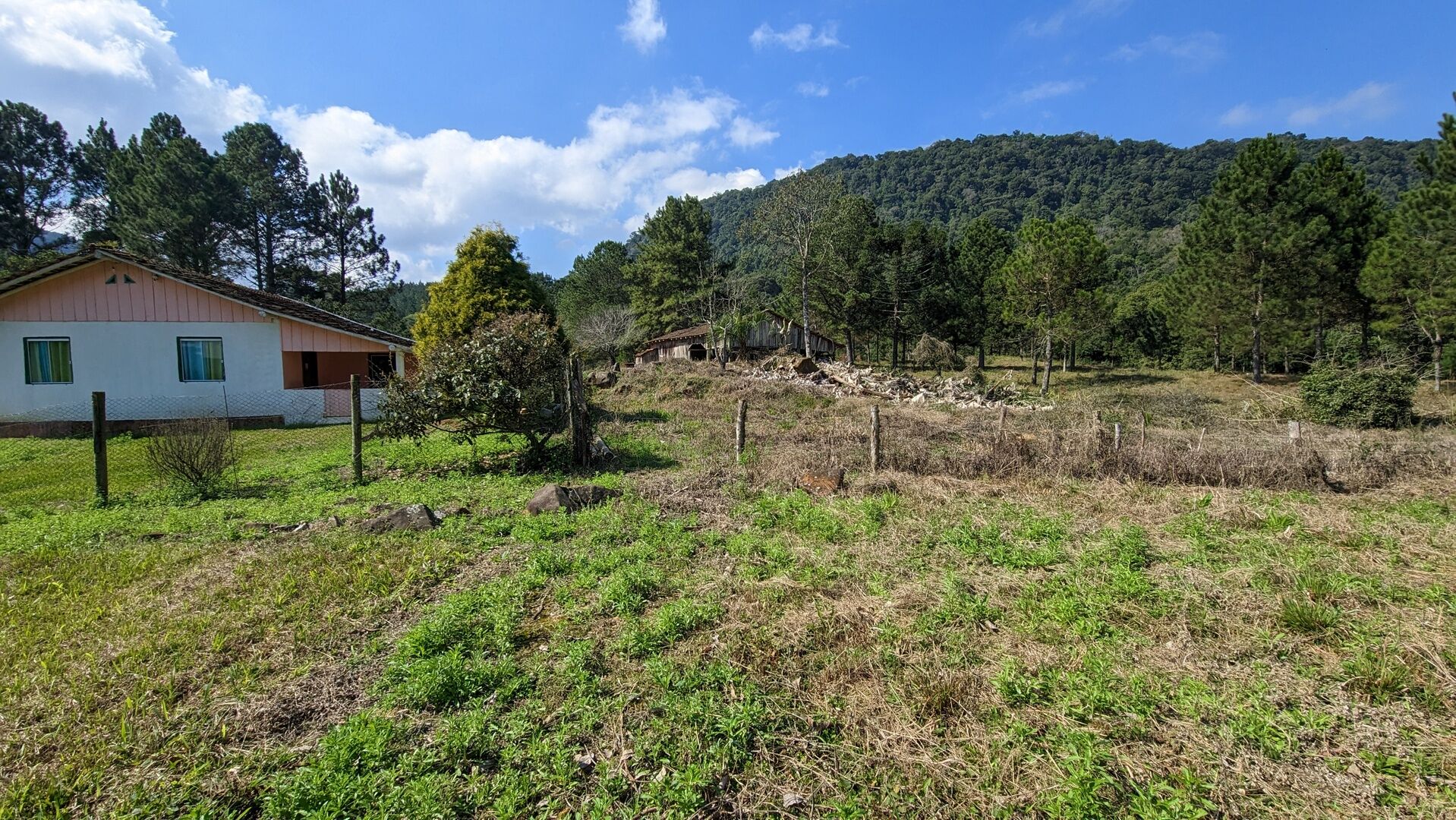 Sítio, 5 hectares - Foto 5