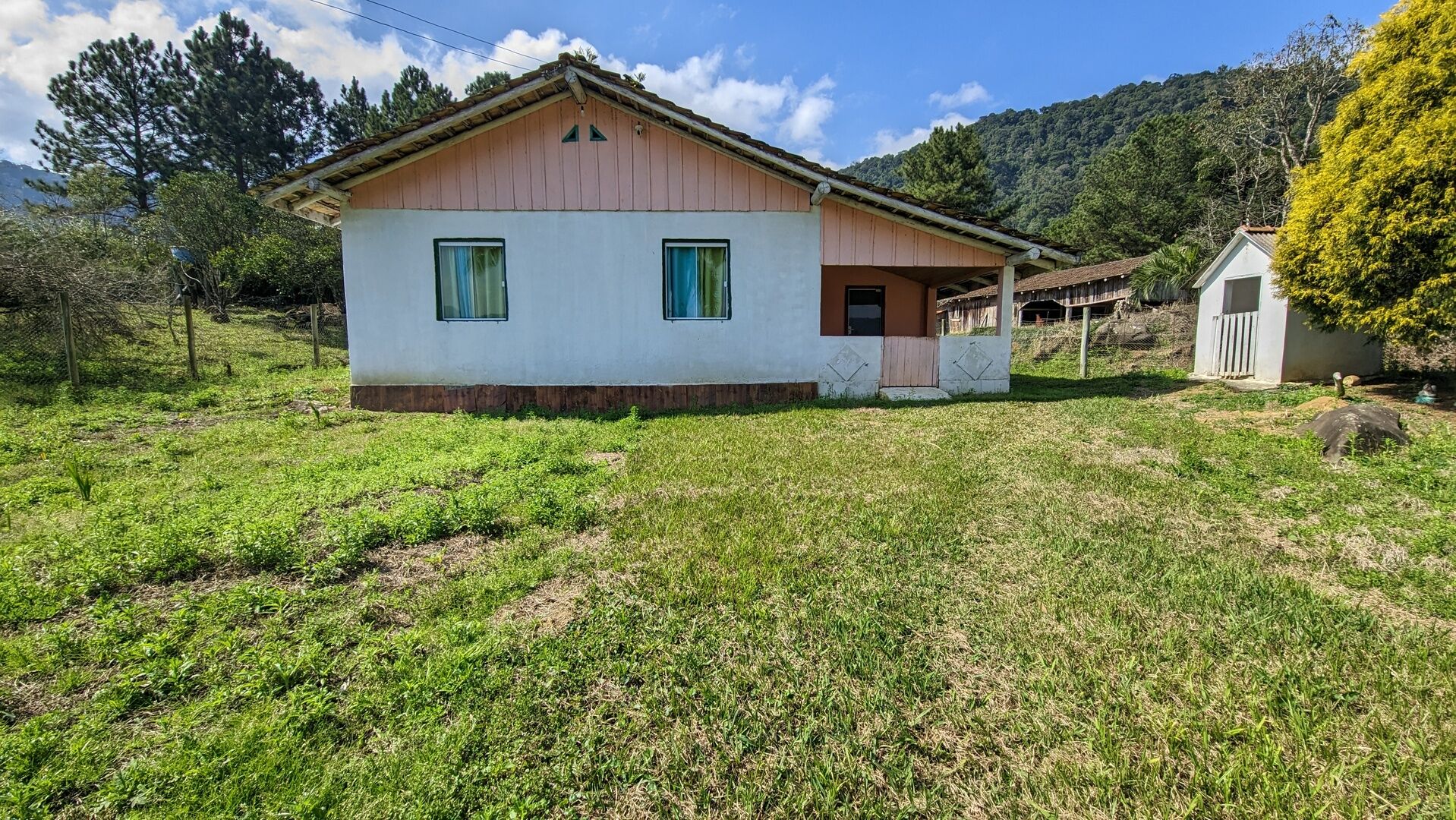 Sítio, 5 hectares - Foto 11