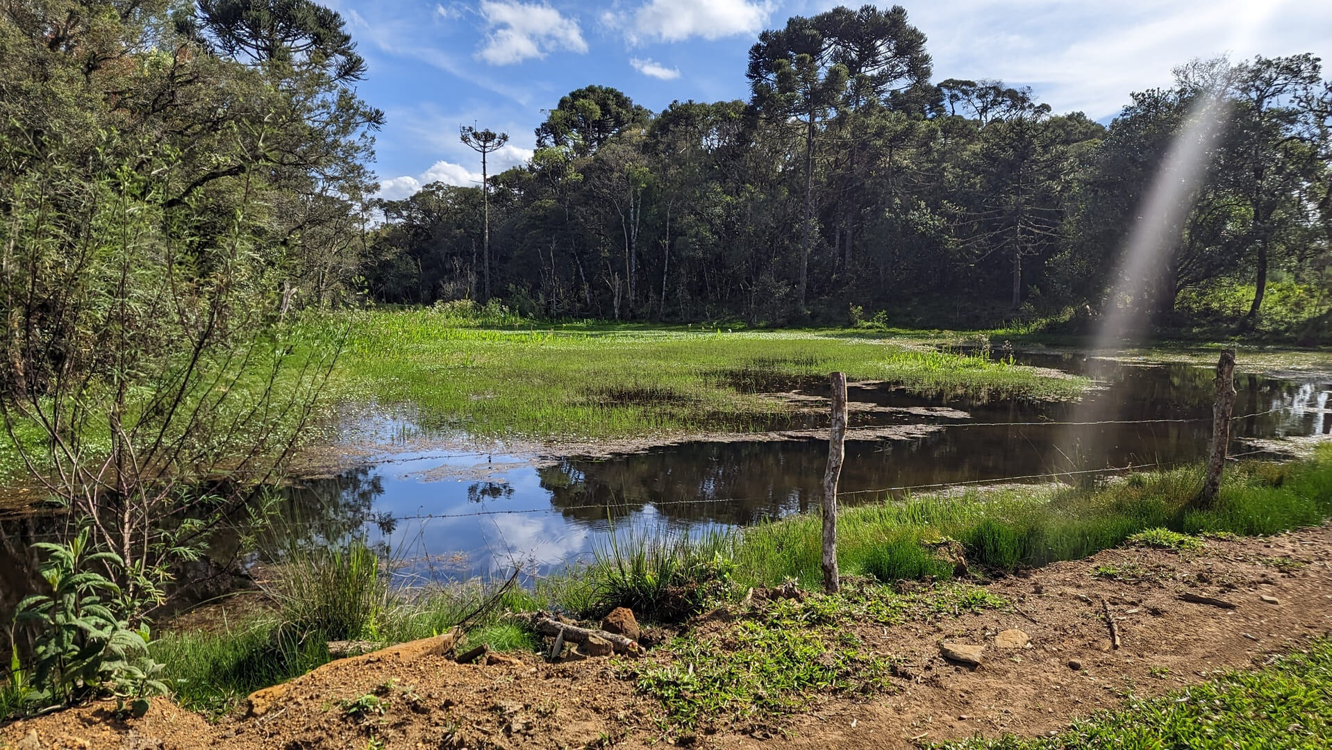 Terreno, 7 hectares - Foto 1