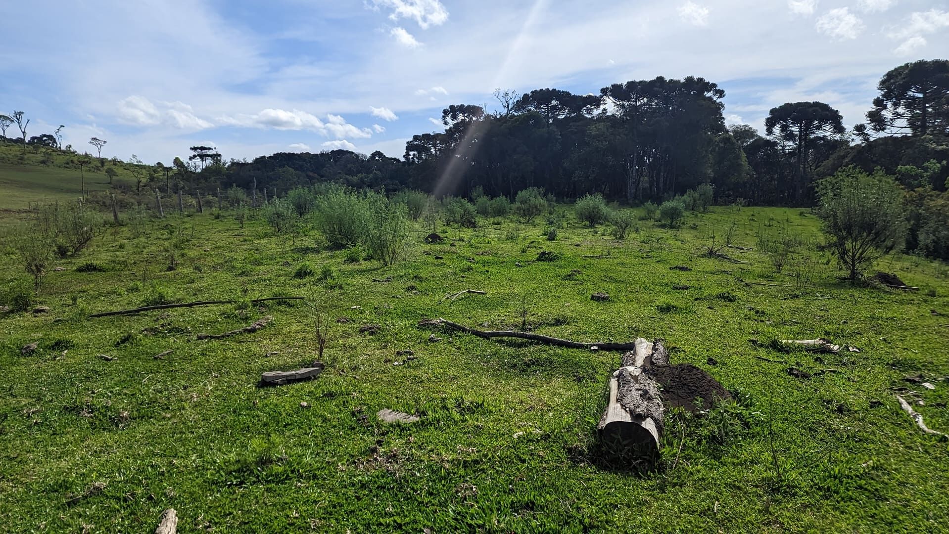 Terreno, 7 hectares - Foto 2