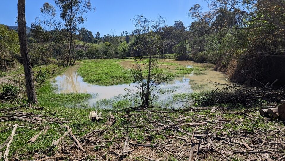 Chácara, 2 quartos, 4 hectares - Foto 8
