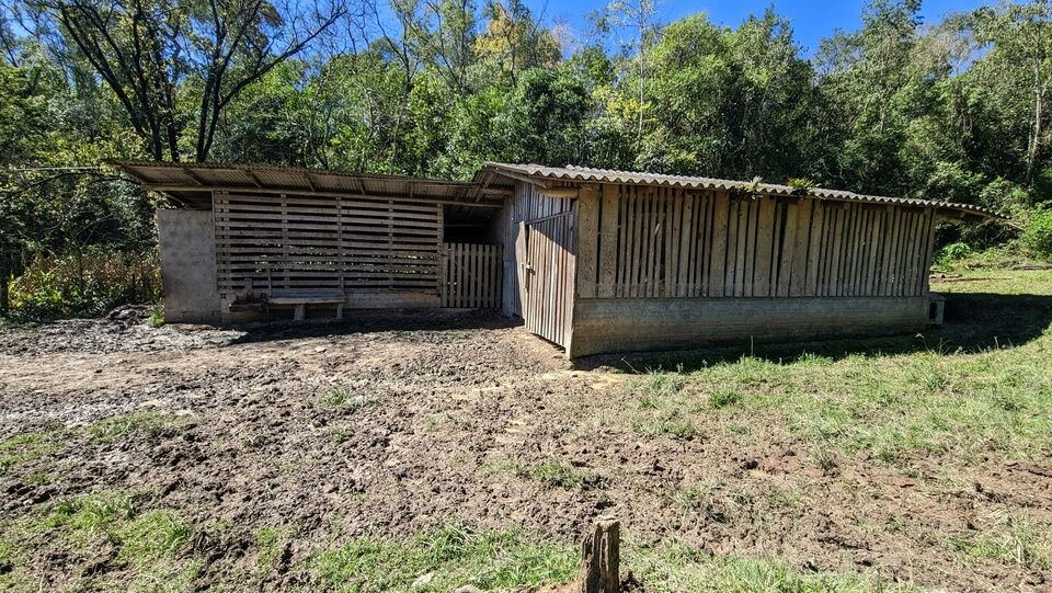 Chácara, 2 quartos, 4 hectares - Foto 22