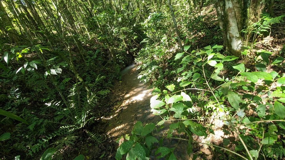 Chácara, 2 quartos, 4 hectares - Foto 19