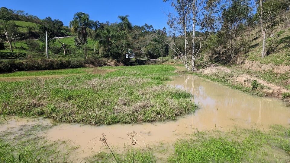 Chácara, 2 quartos, 4 hectares - Foto 9