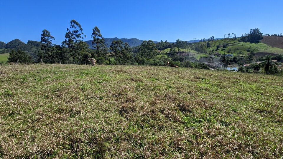 Chácara, 2 quartos, 4 hectares - Foto 13